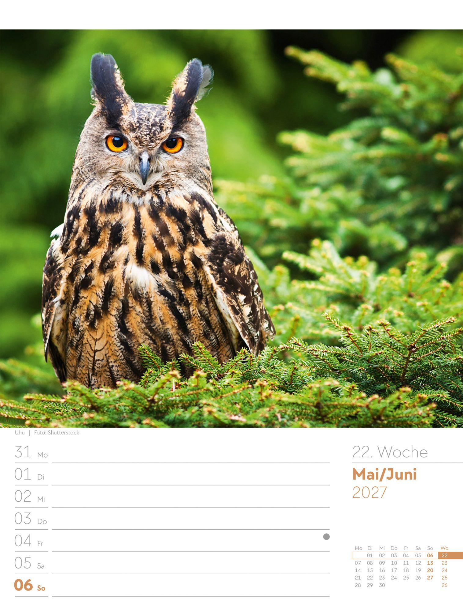 Beispielinhalt (Bild) Unser Wald Wochenplaner Kalender 2027