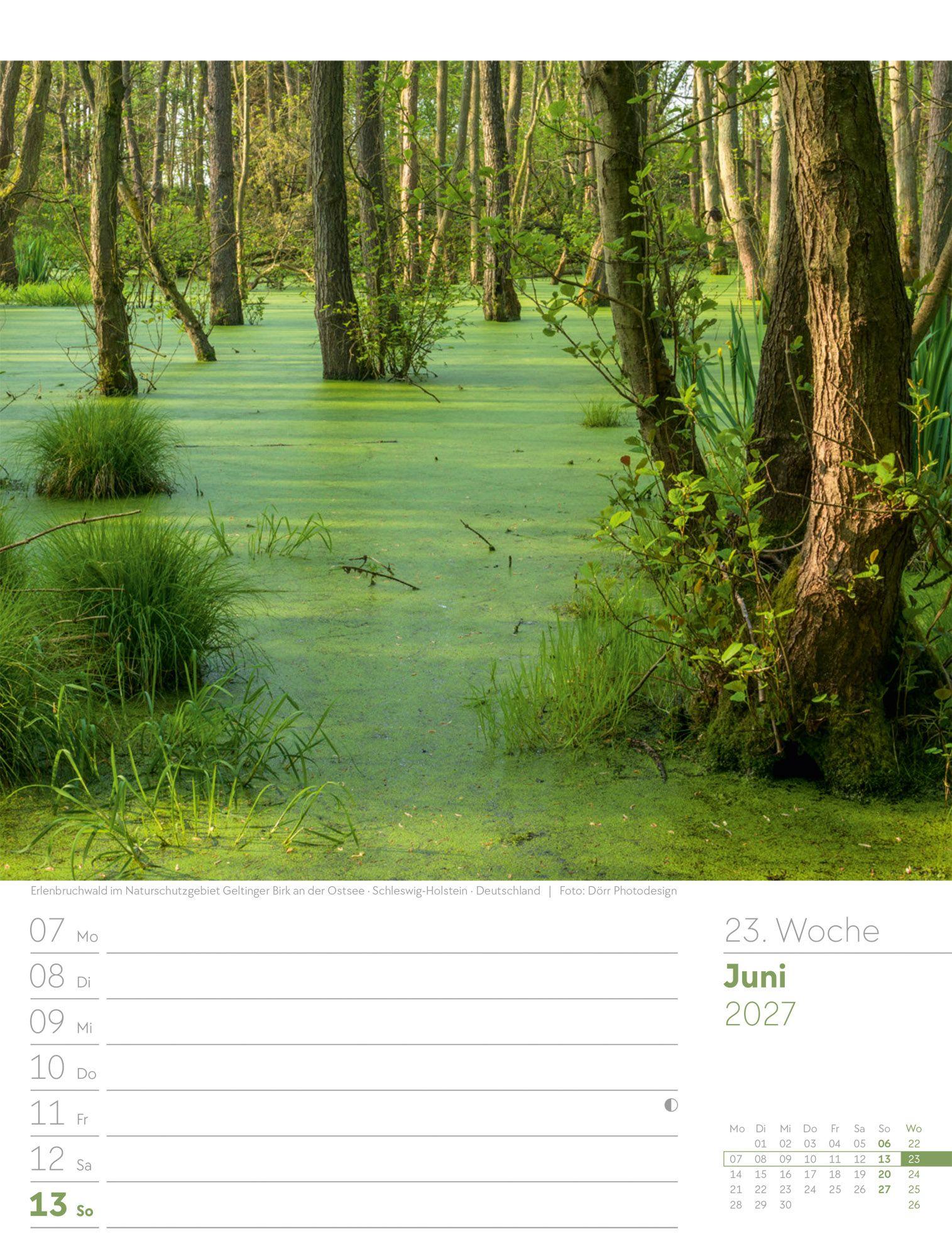 Beispielinhalt (Bild) Unser Wald Wochenplaner Kalender 2027