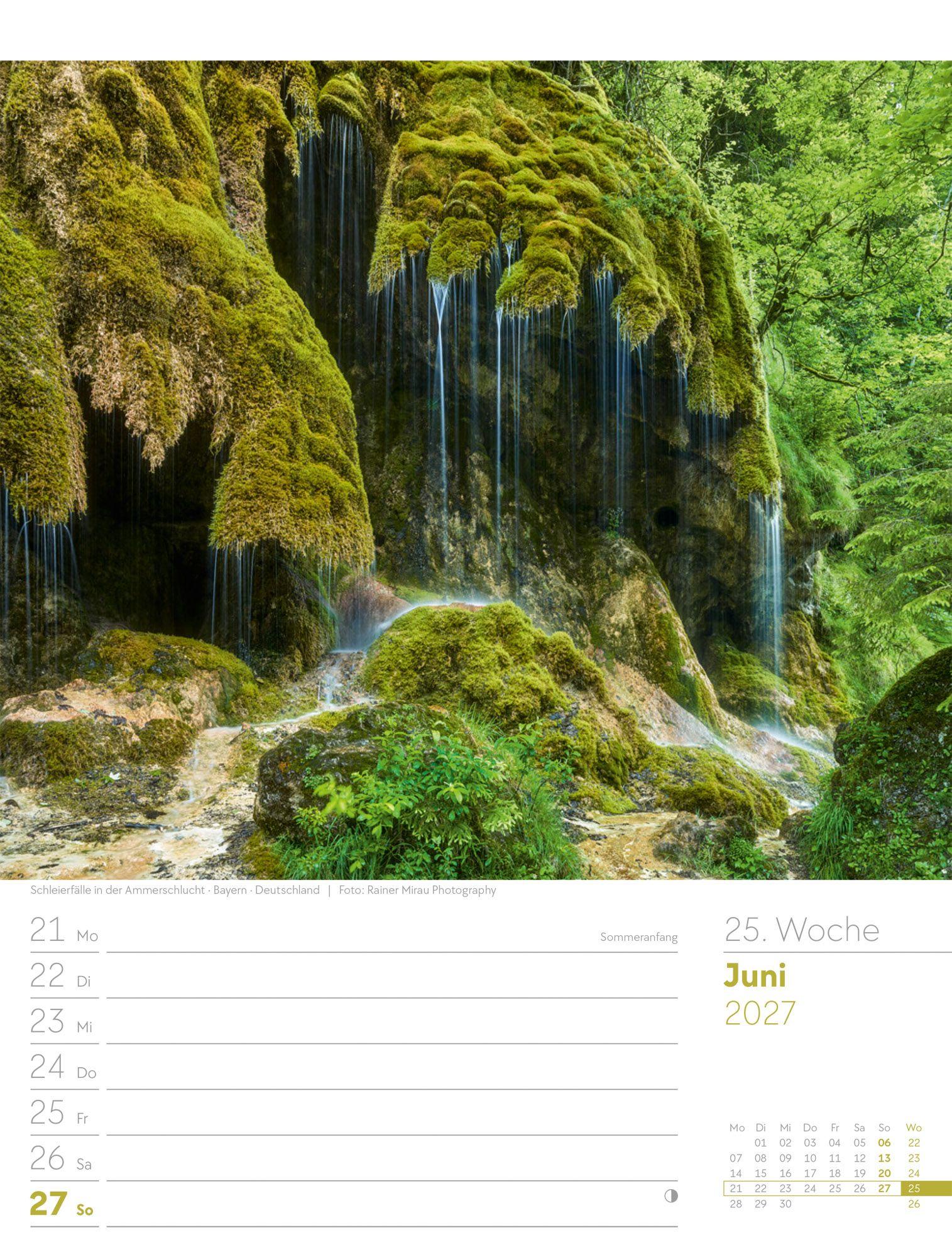 Beispielinhalt (Bild) Unser Wald Wochenplaner Kalender 2027