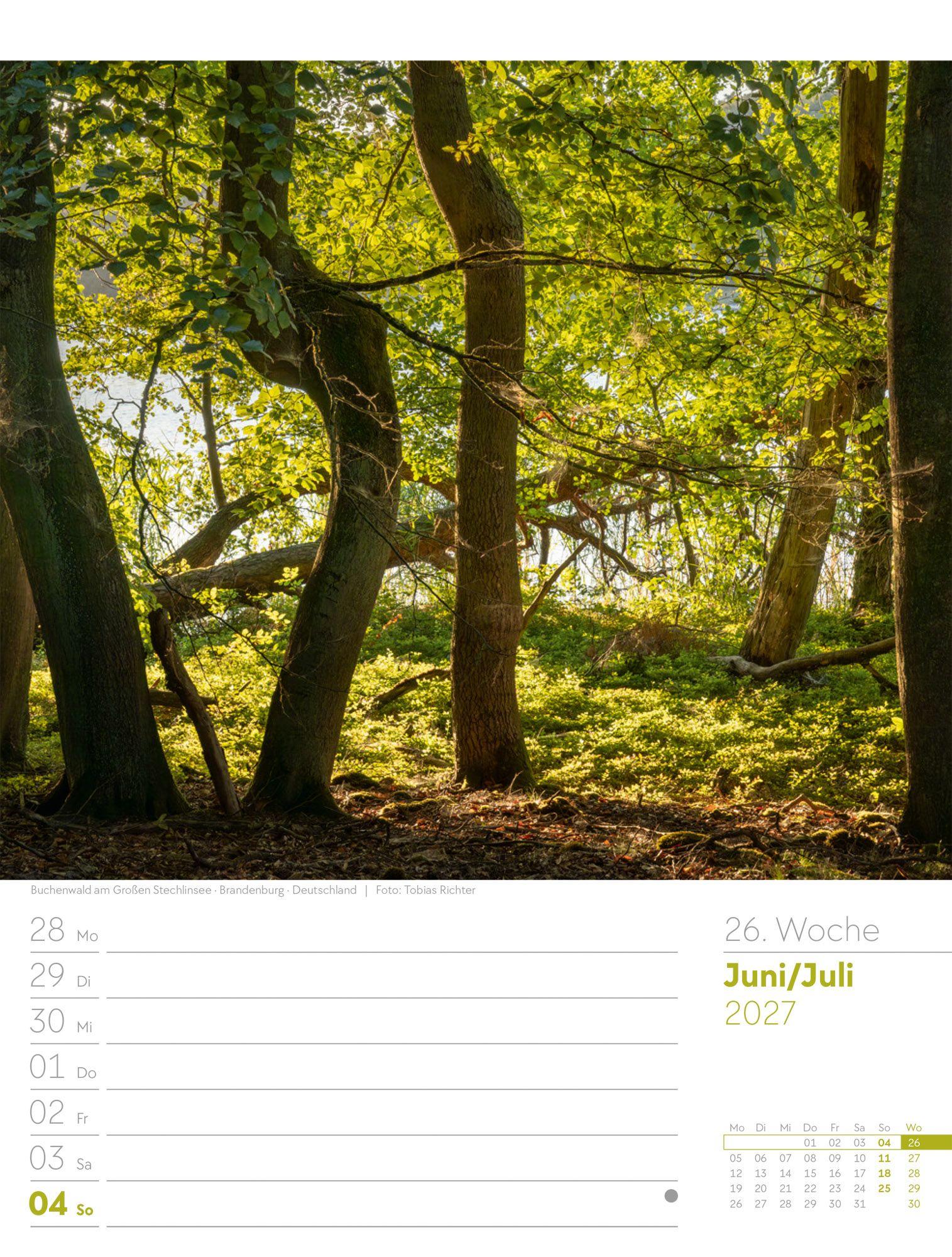 Beispielinhalt (Bild) Unser Wald Wochenplaner Kalender 2027