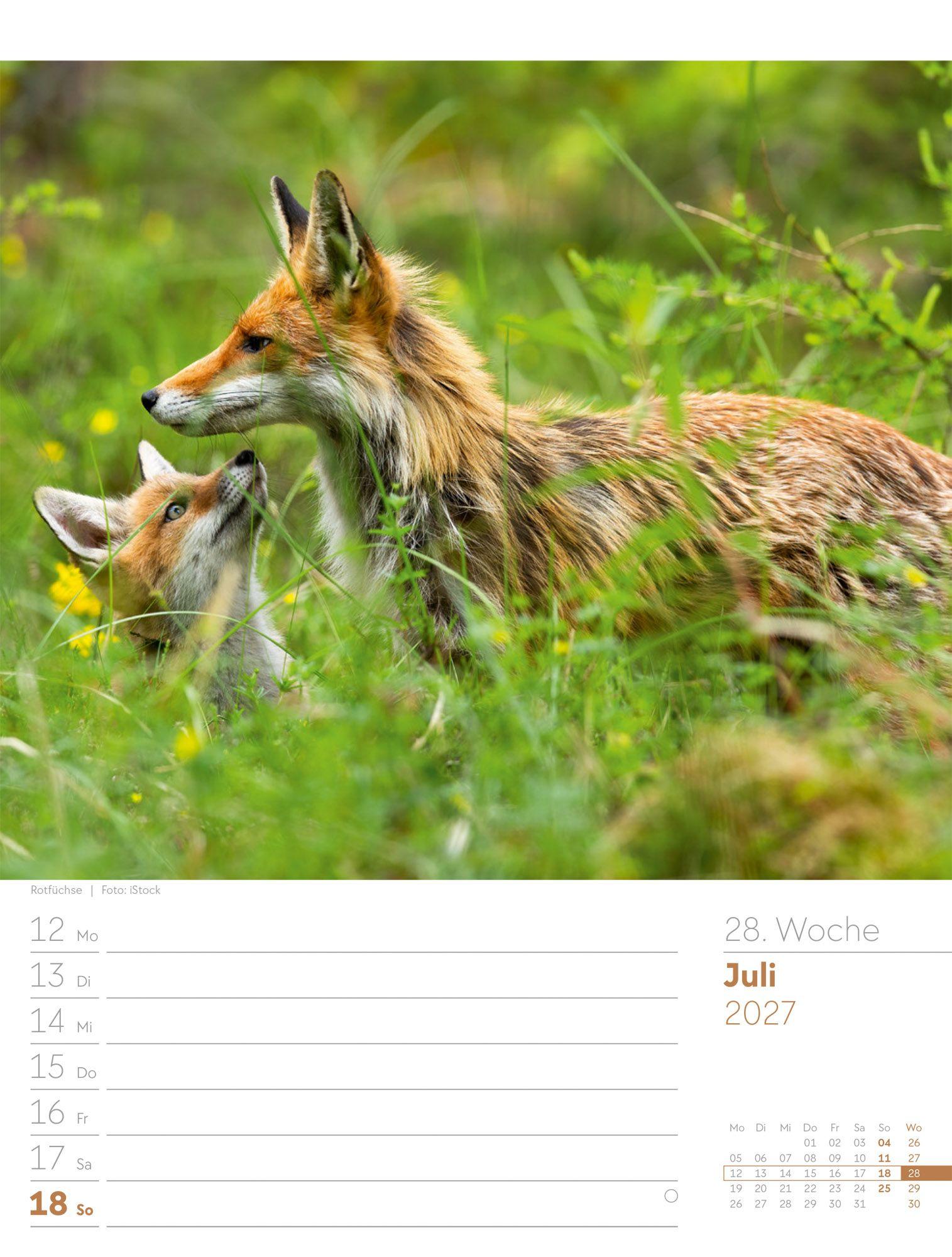Beispielinhalt (Bild) Unser Wald Wochenplaner Kalender 2027