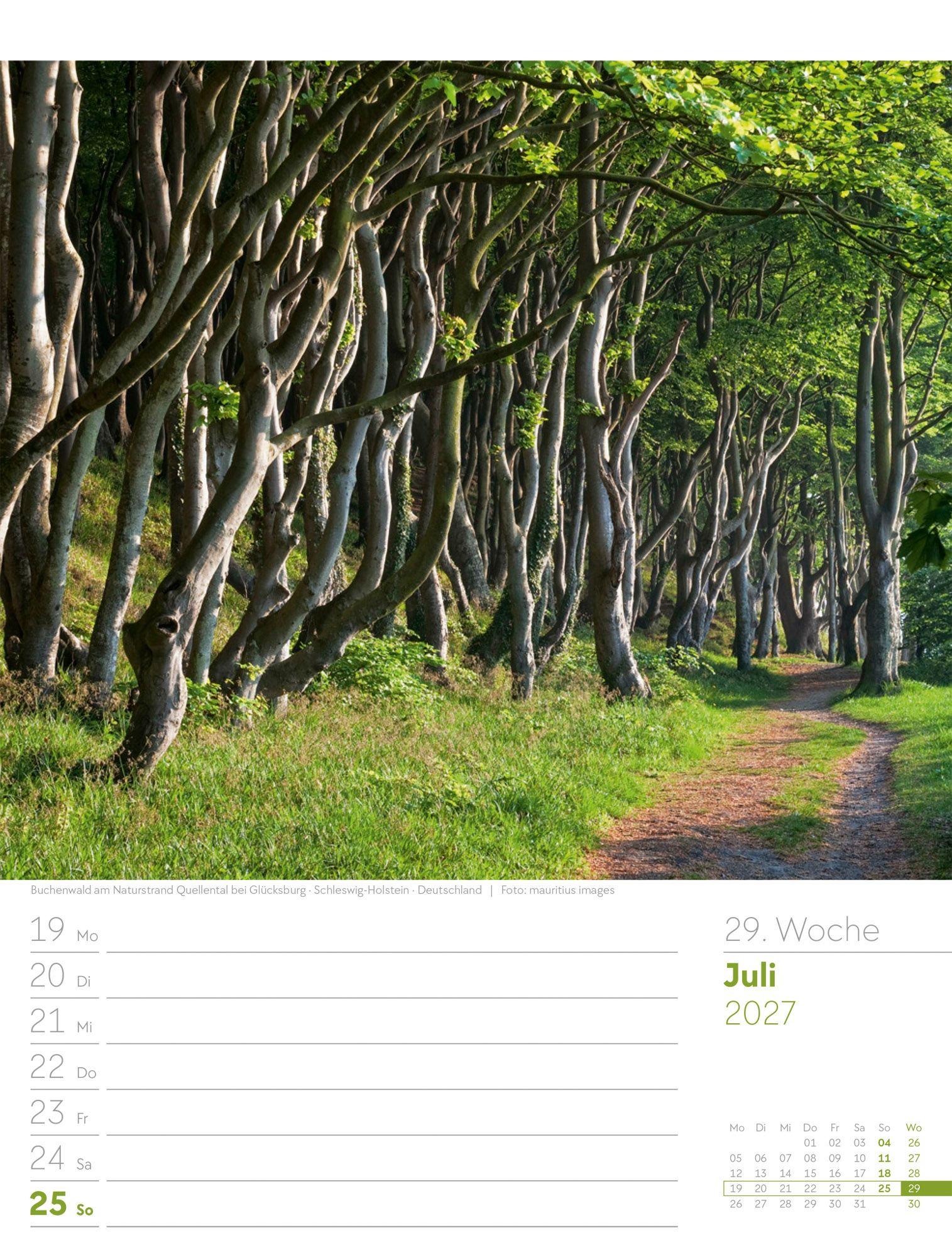 Beispielinhalt (Bild) Unser Wald Wochenplaner Kalender 2027