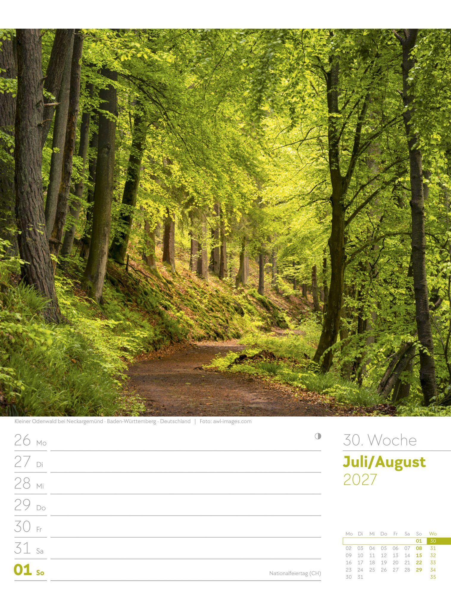Beispielinhalt (Bild) Unser Wald Wochenplaner Kalender 2027