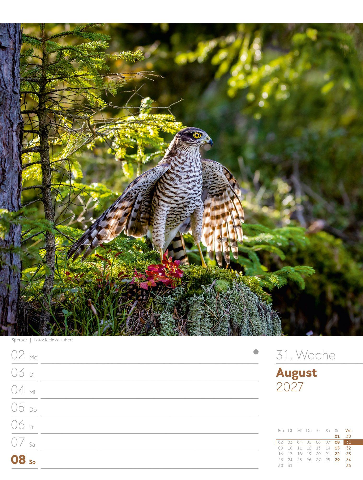 Beispielinhalt (Bild) Unser Wald Wochenplaner Kalender 2027