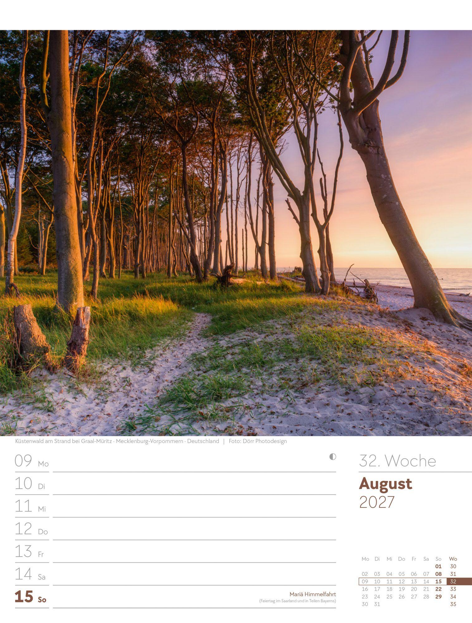 Beispielinhalt (Bild) Unser Wald Wochenplaner Kalender 2027