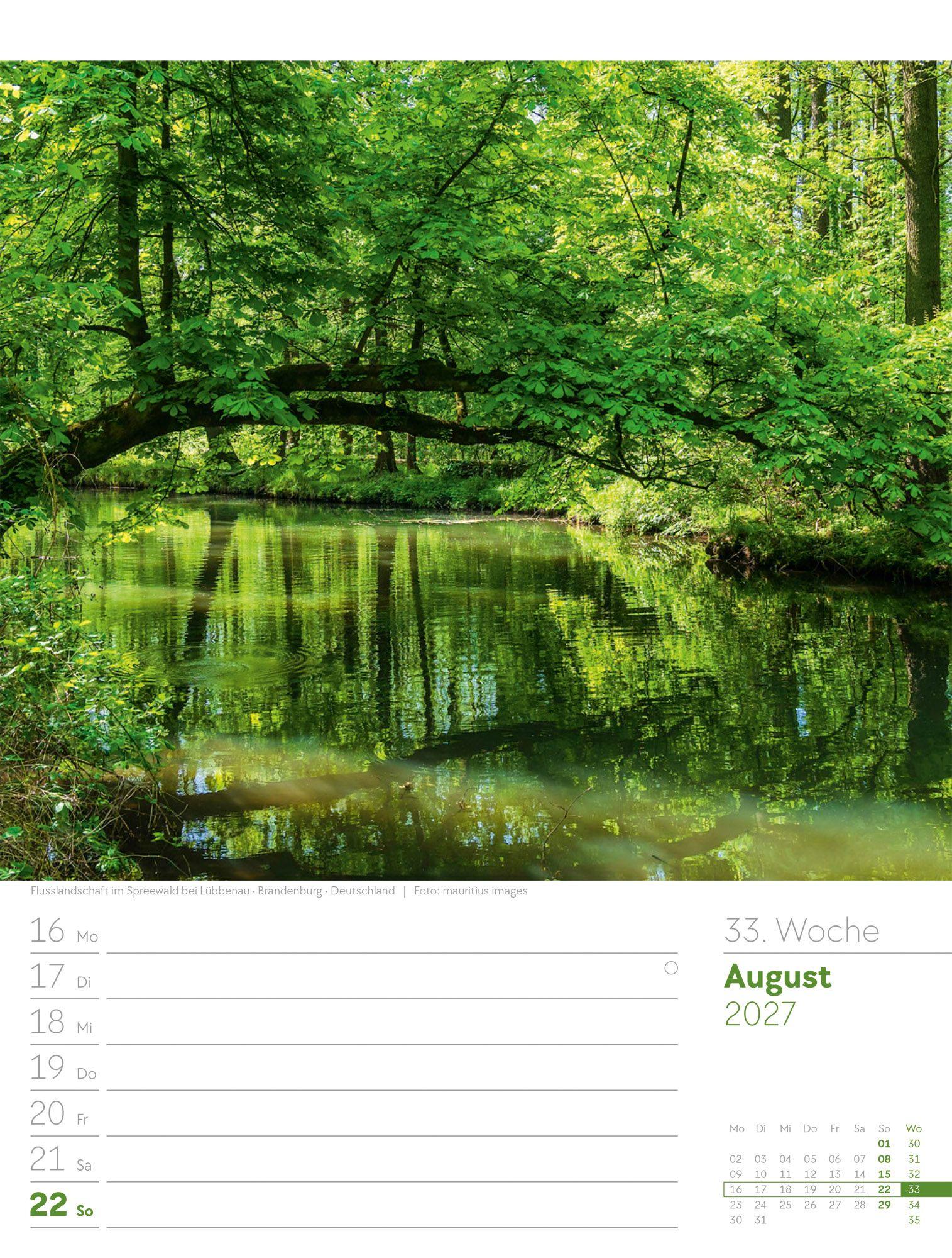 Beispielinhalt (Bild) Unser Wald Wochenplaner Kalender 2027