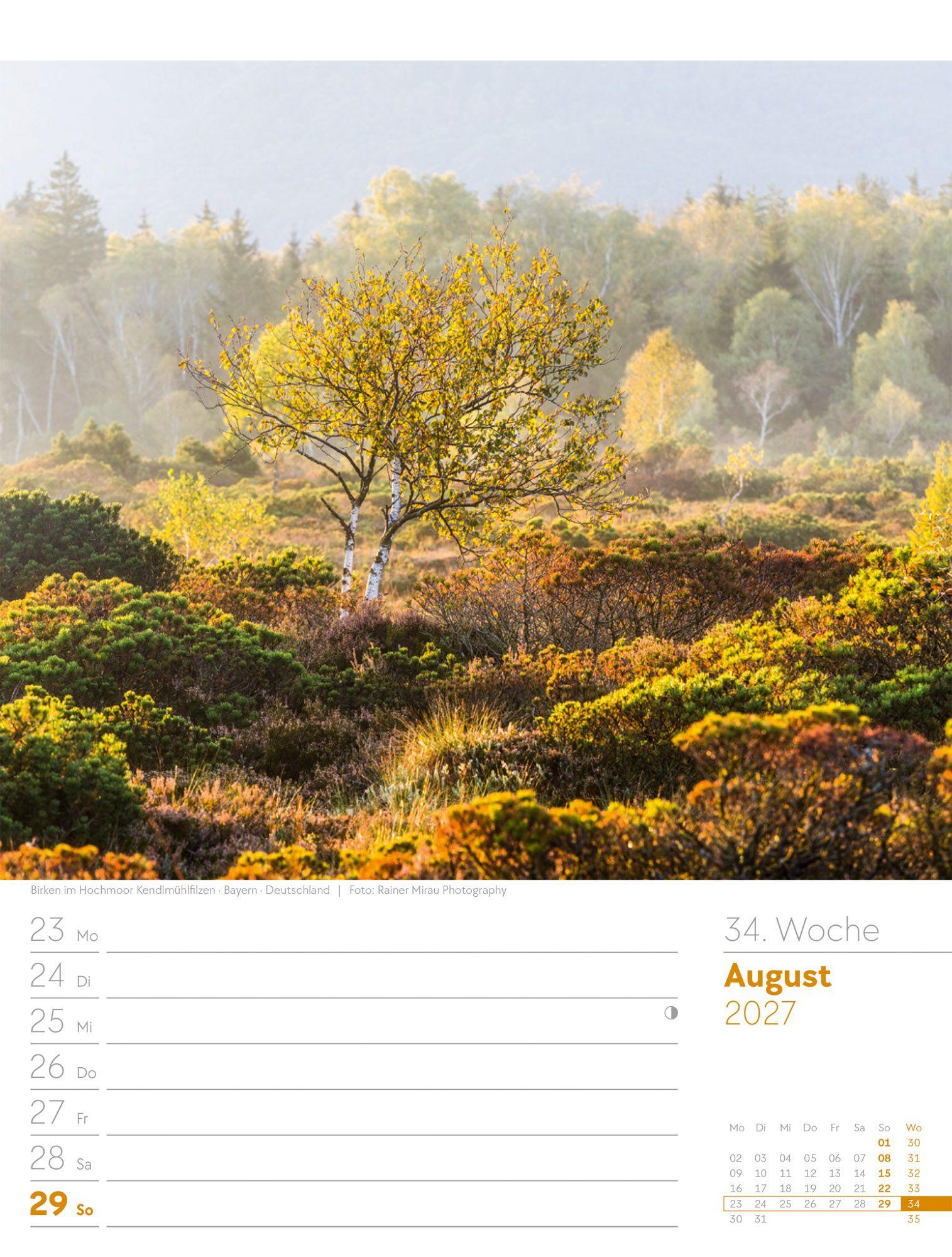 Beispielinhalt (Bild) Unser Wald Wochenplaner Kalender 2027