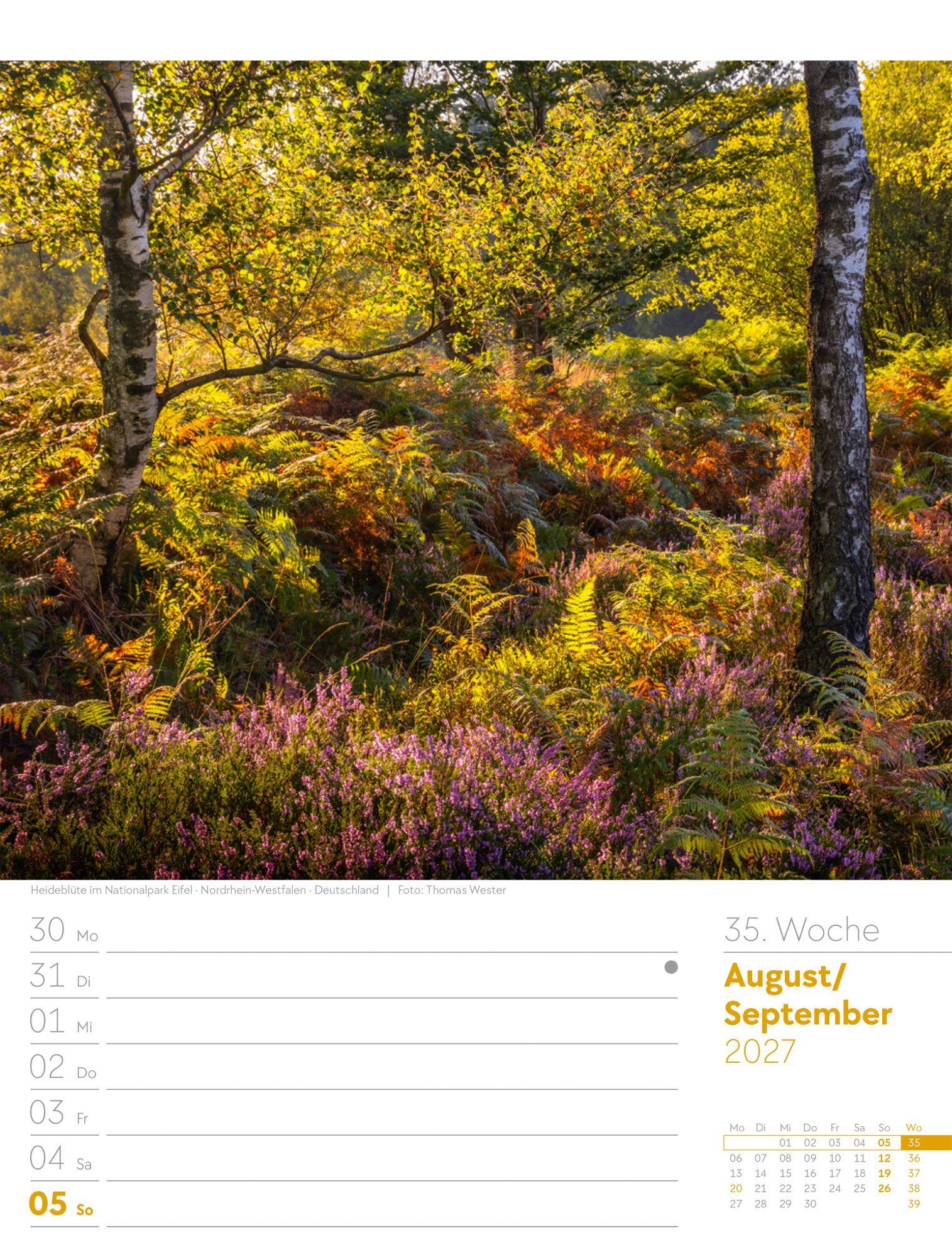 Beispielinhalt (Bild) Unser Wald Wochenplaner Kalender 2027