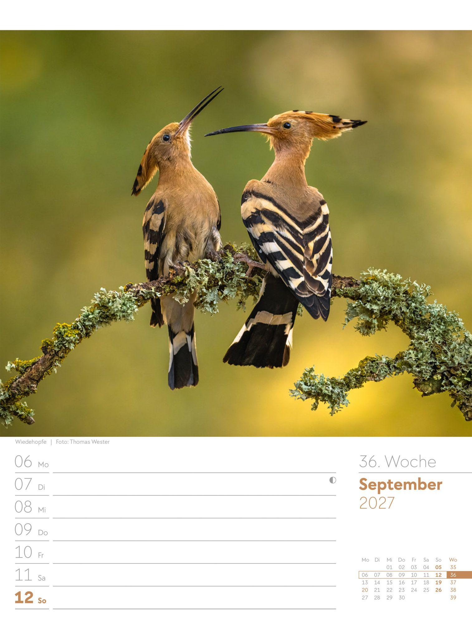 Beispielinhalt (Bild) Unser Wald Wochenplaner Kalender 2027