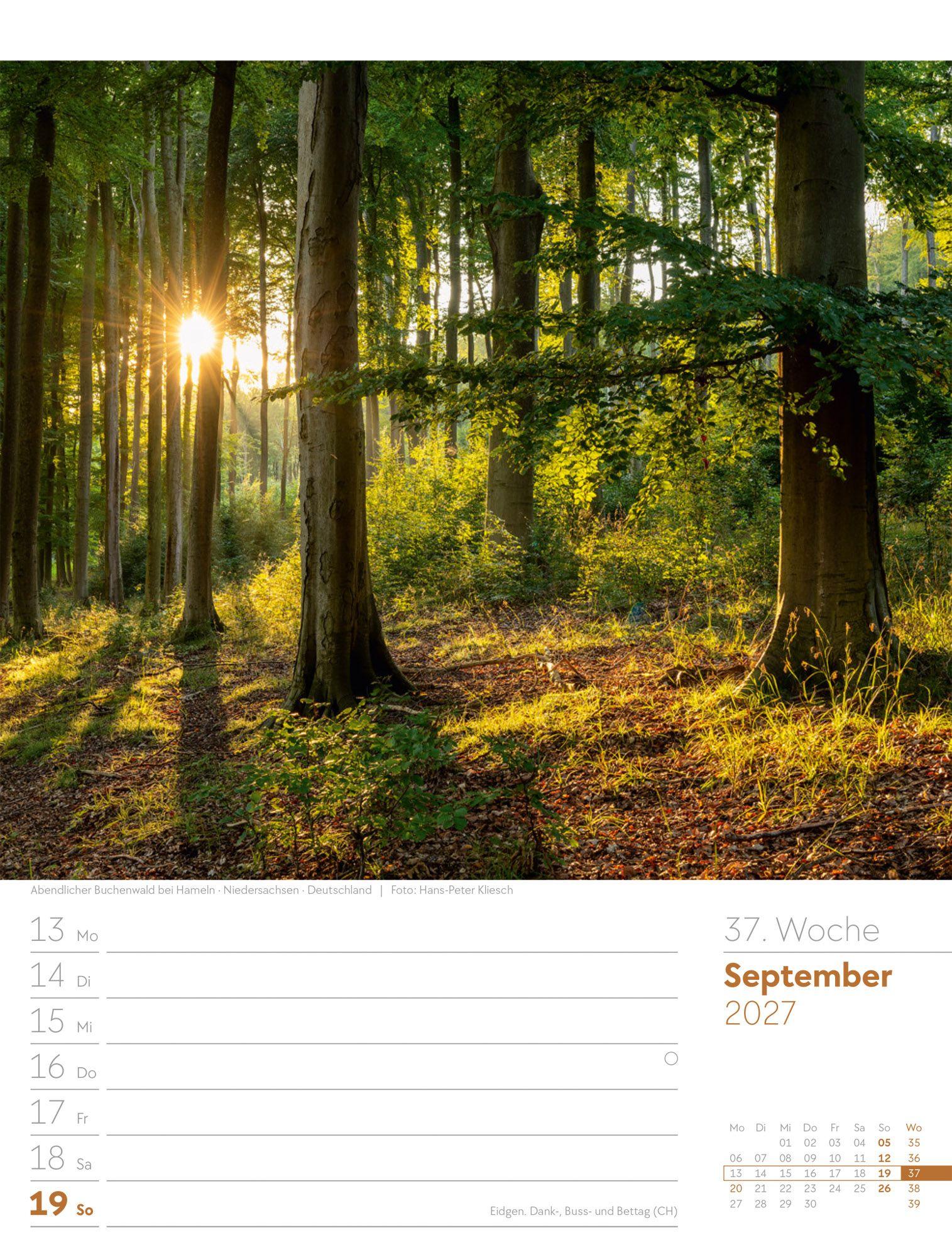 Beispielinhalt (Bild) Unser Wald Wochenplaner Kalender 2027