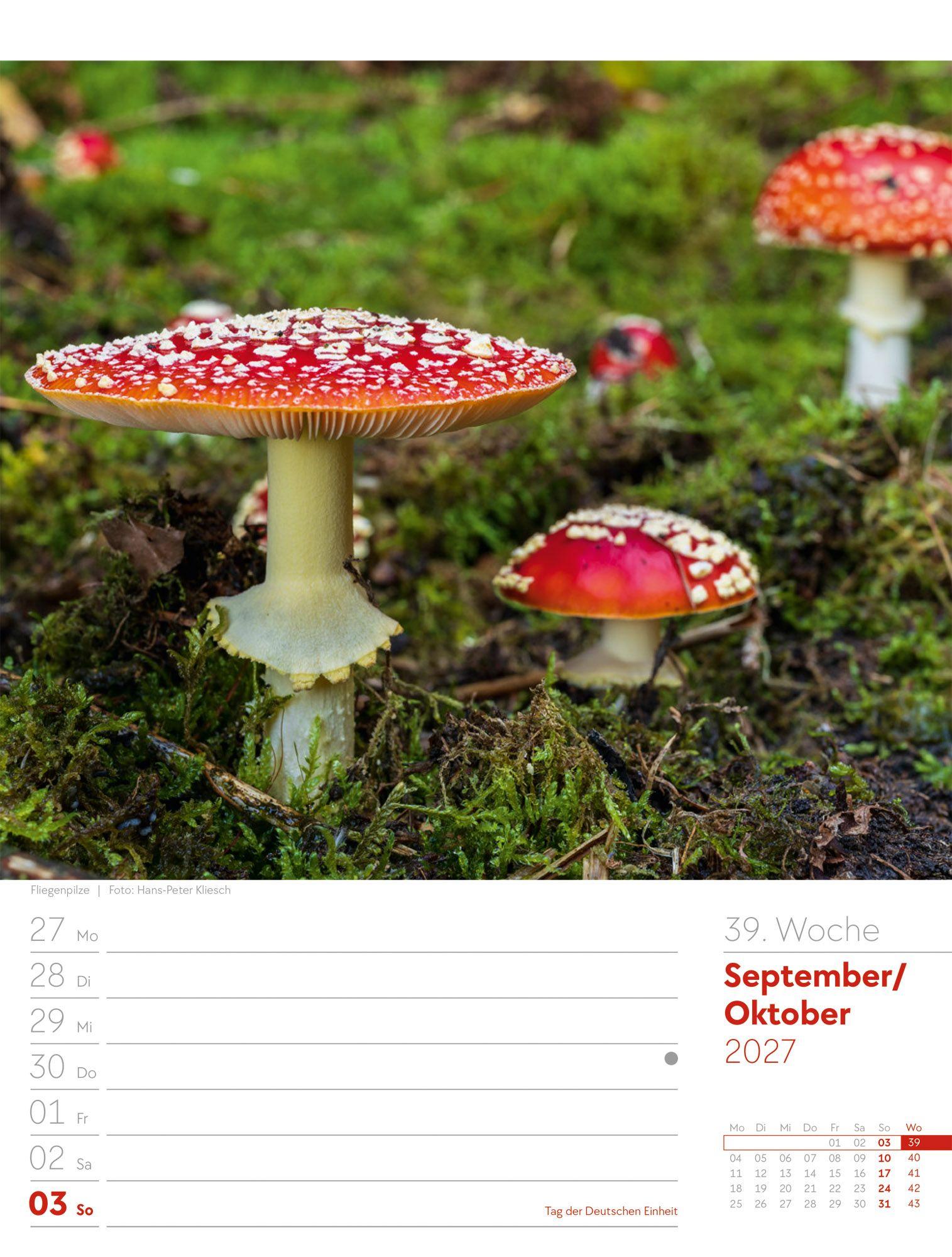 Beispielinhalt (Bild) Unser Wald Wochenplaner Kalender 2027