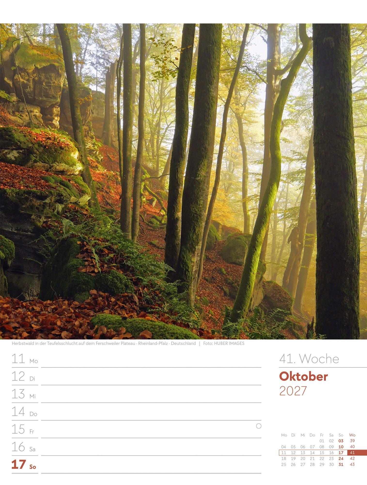 Beispielinhalt (Bild) Unser Wald Wochenplaner Kalender 2027