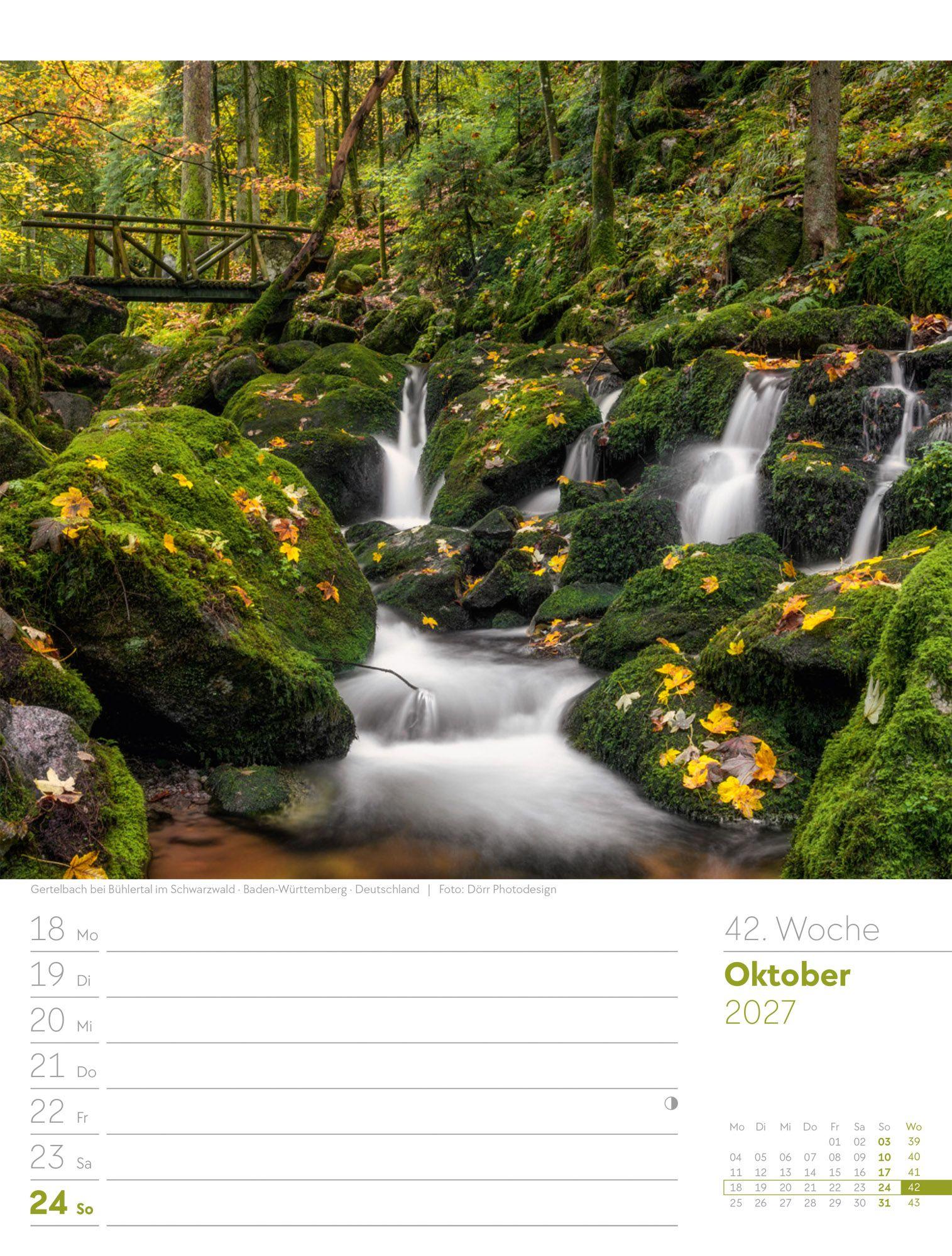 Beispielinhalt (Bild) Unser Wald Wochenplaner Kalender 2027