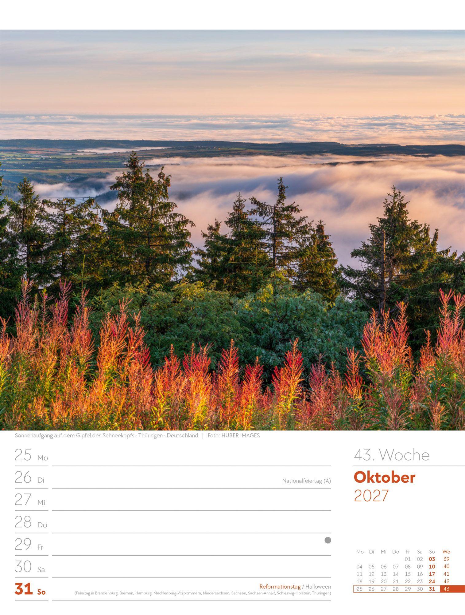 Beispielinhalt (Bild) Unser Wald Wochenplaner Kalender 2027