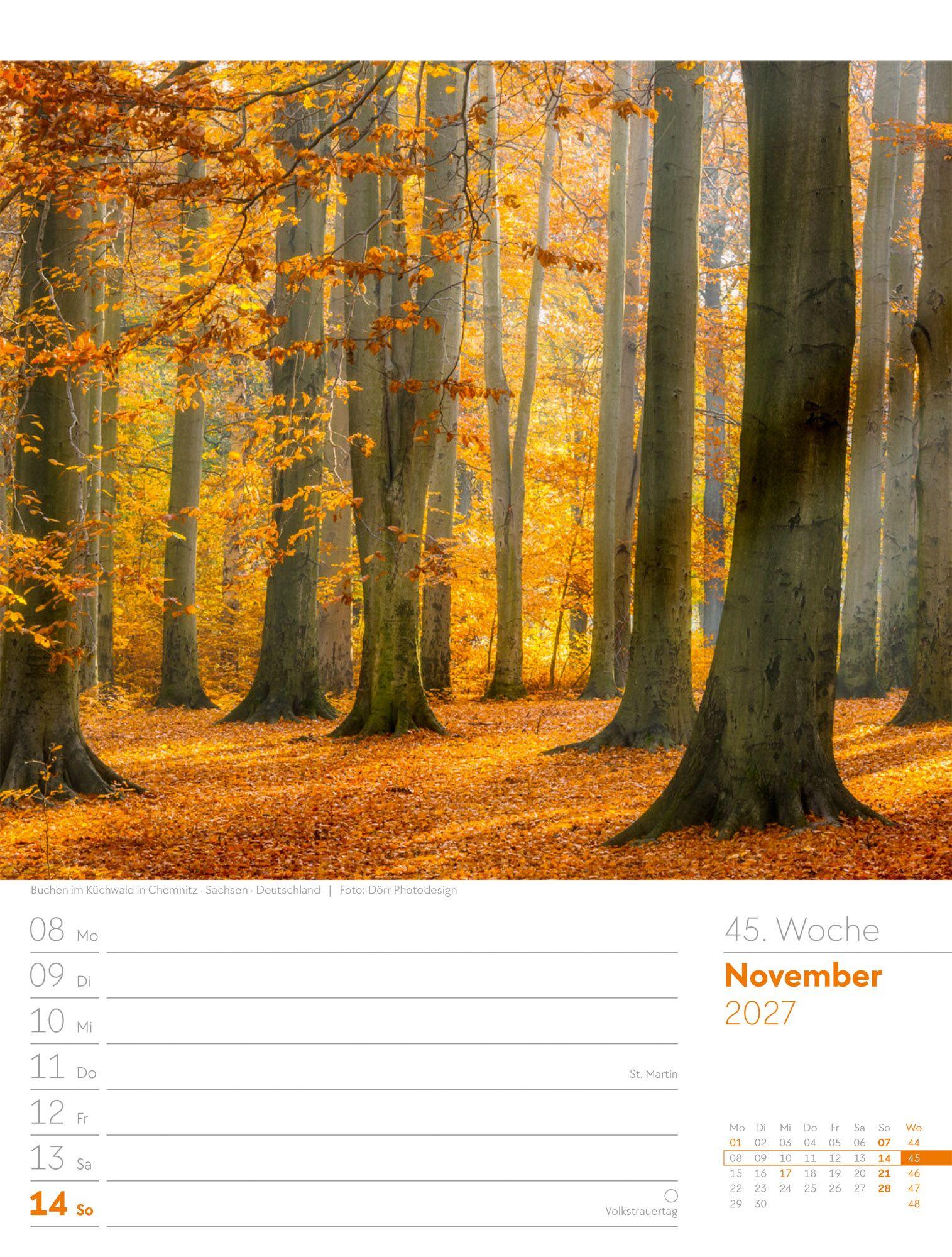 Beispielinhalt (Bild) Unser Wald Wochenplaner Kalender 2027