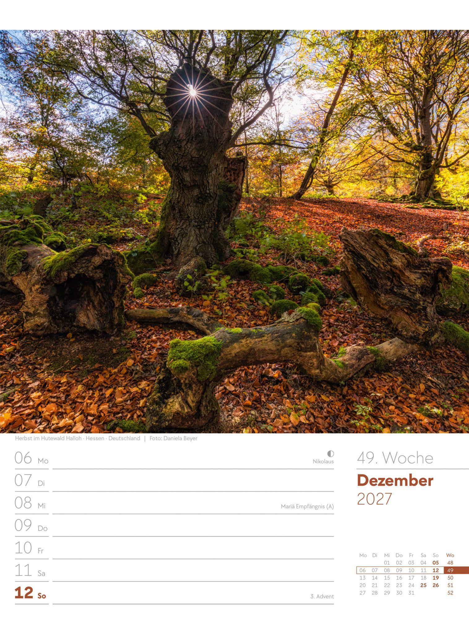 Beispielinhalt (Bild) Unser Wald Wochenplaner Kalender 2027