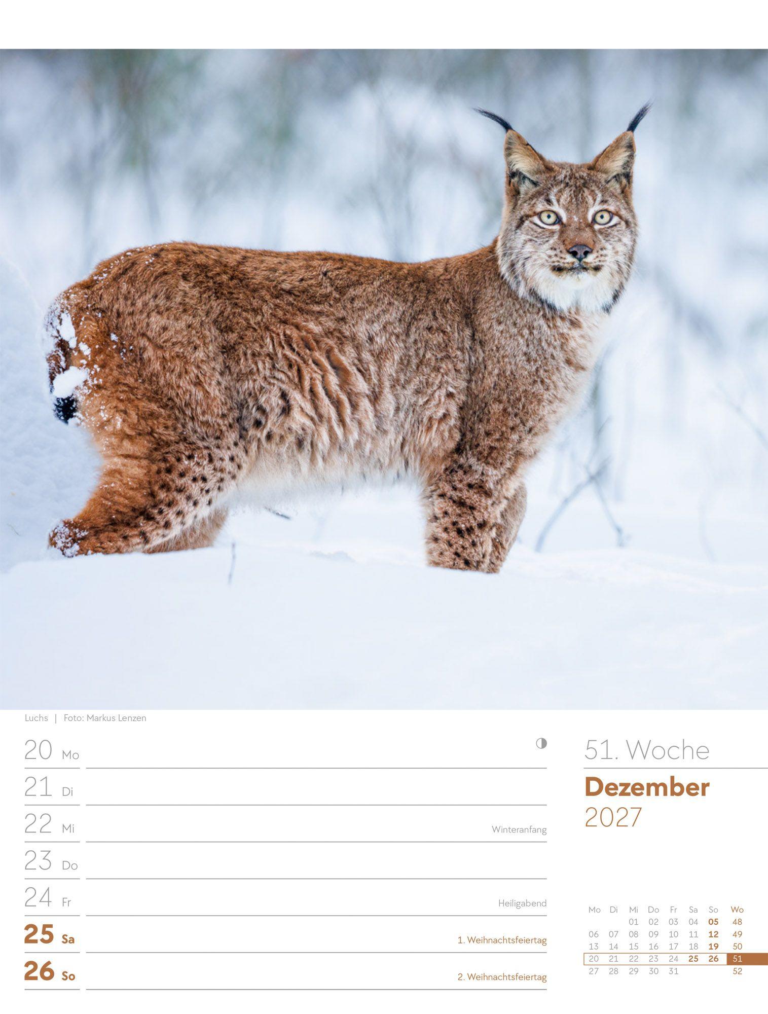 Beispielinhalt (Bild) Unser Wald Wochenplaner Kalender 2027