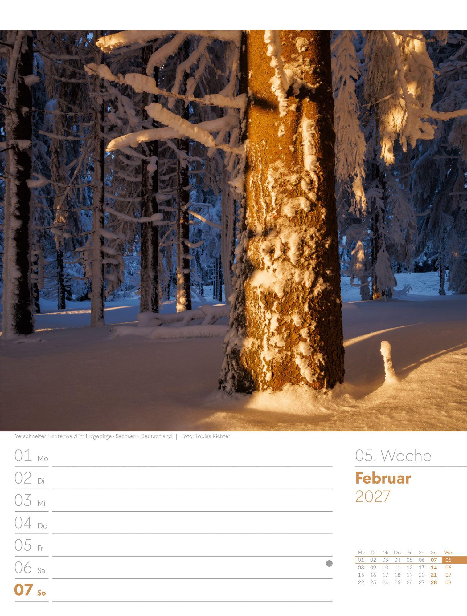 Beispielinhalt (Bild) Unser Wald Wochenplaner Kalender 2027