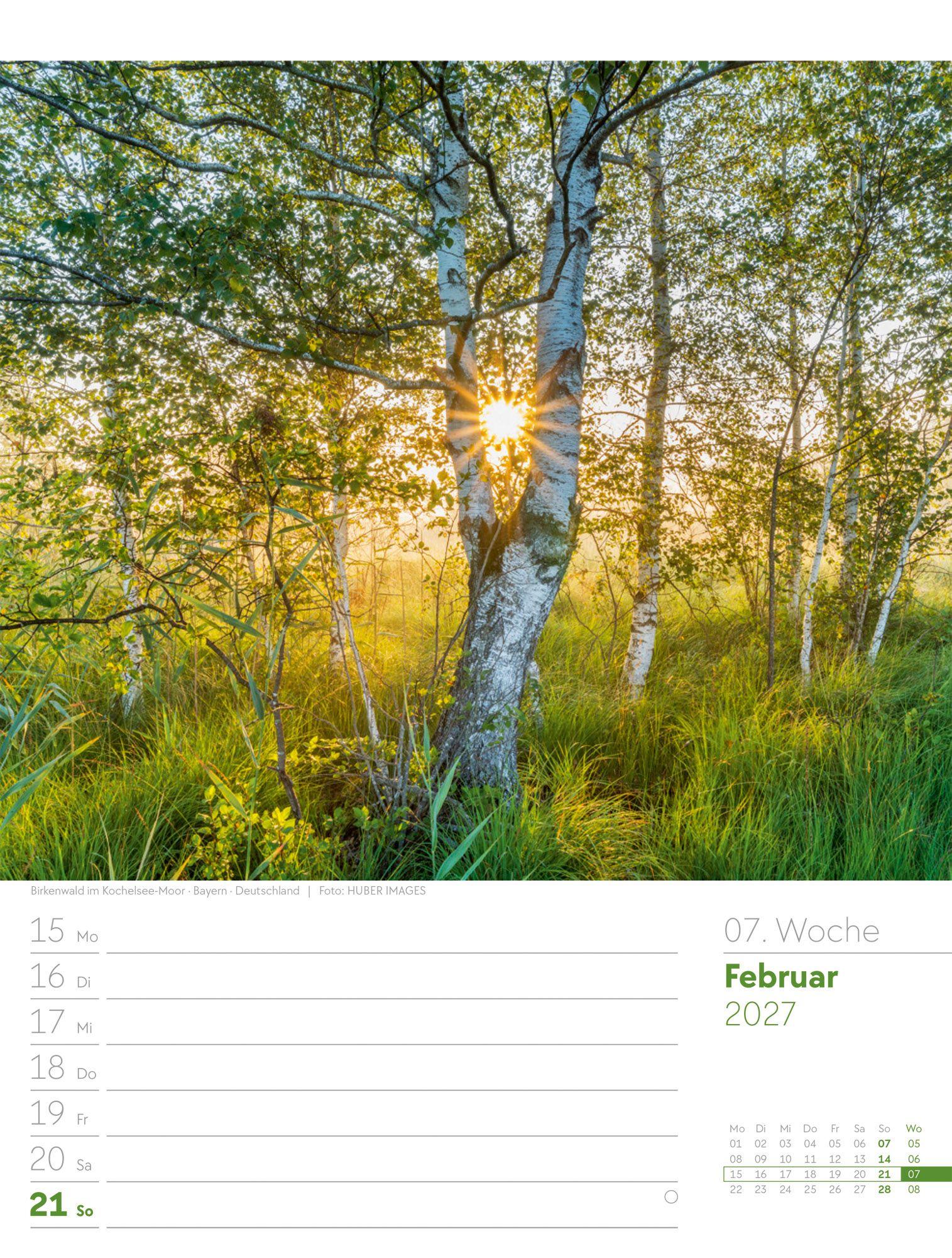 Beispielinhalt (Bild) Unser Wald Wochenplaner Kalender 2027