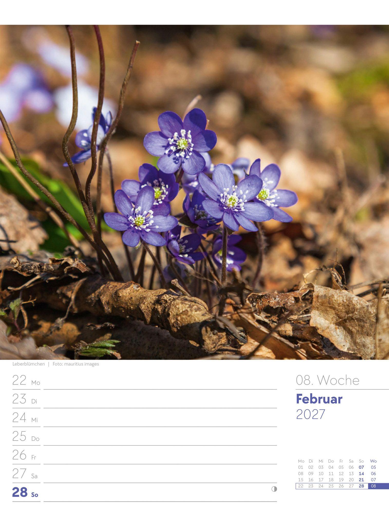 Beispielinhalt (Bild) Unser Wald Wochenplaner Kalender 2027