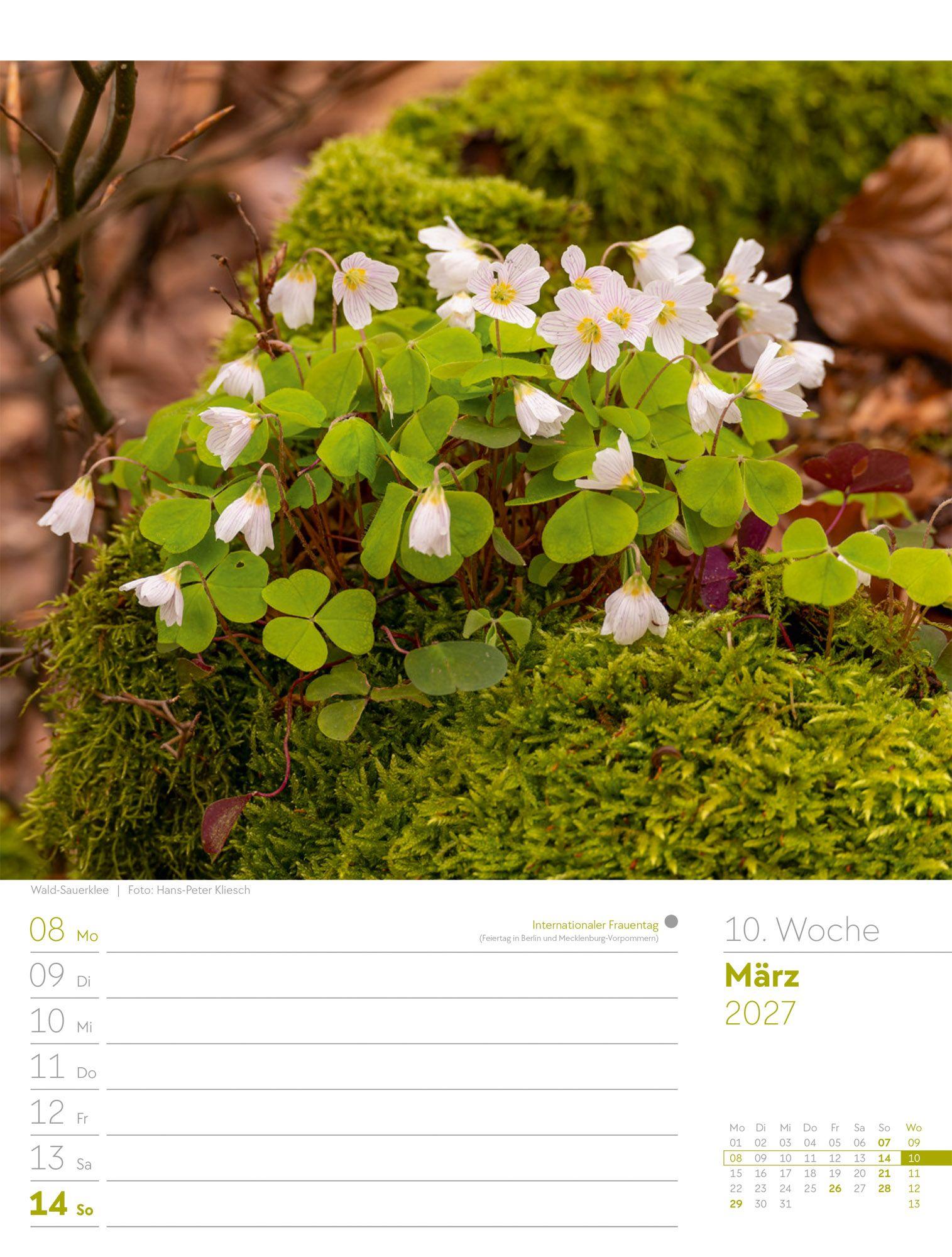 Beispielinhalt (Bild) Unser Wald Wochenplaner Kalender 2027