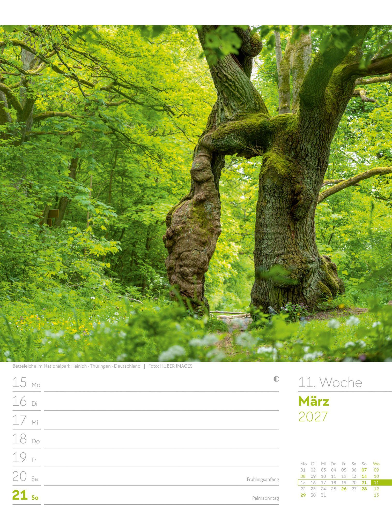 Beispielinhalt (Bild) Unser Wald Wochenplaner Kalender 2027