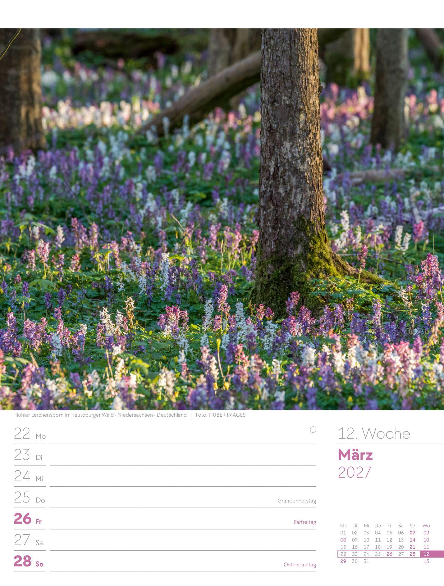 Beispielinhalt (Bild) Unser Wald Wochenplaner Kalender 2027