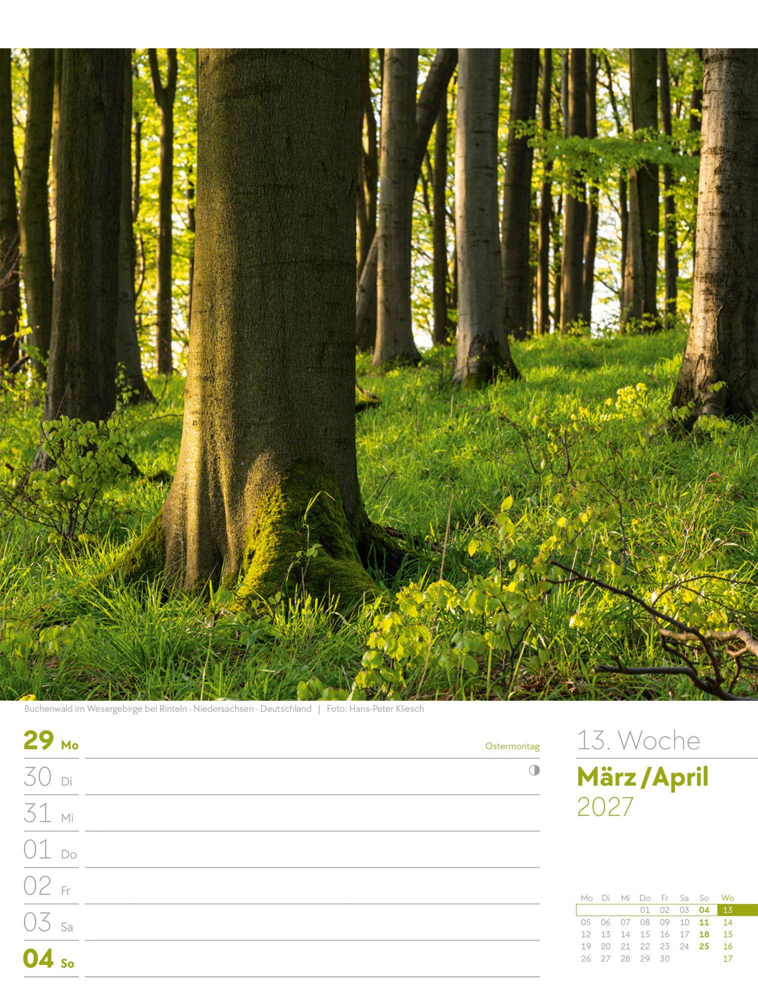 Beispielinhalt (Bild) Unser Wald Wochenplaner Kalender 2027