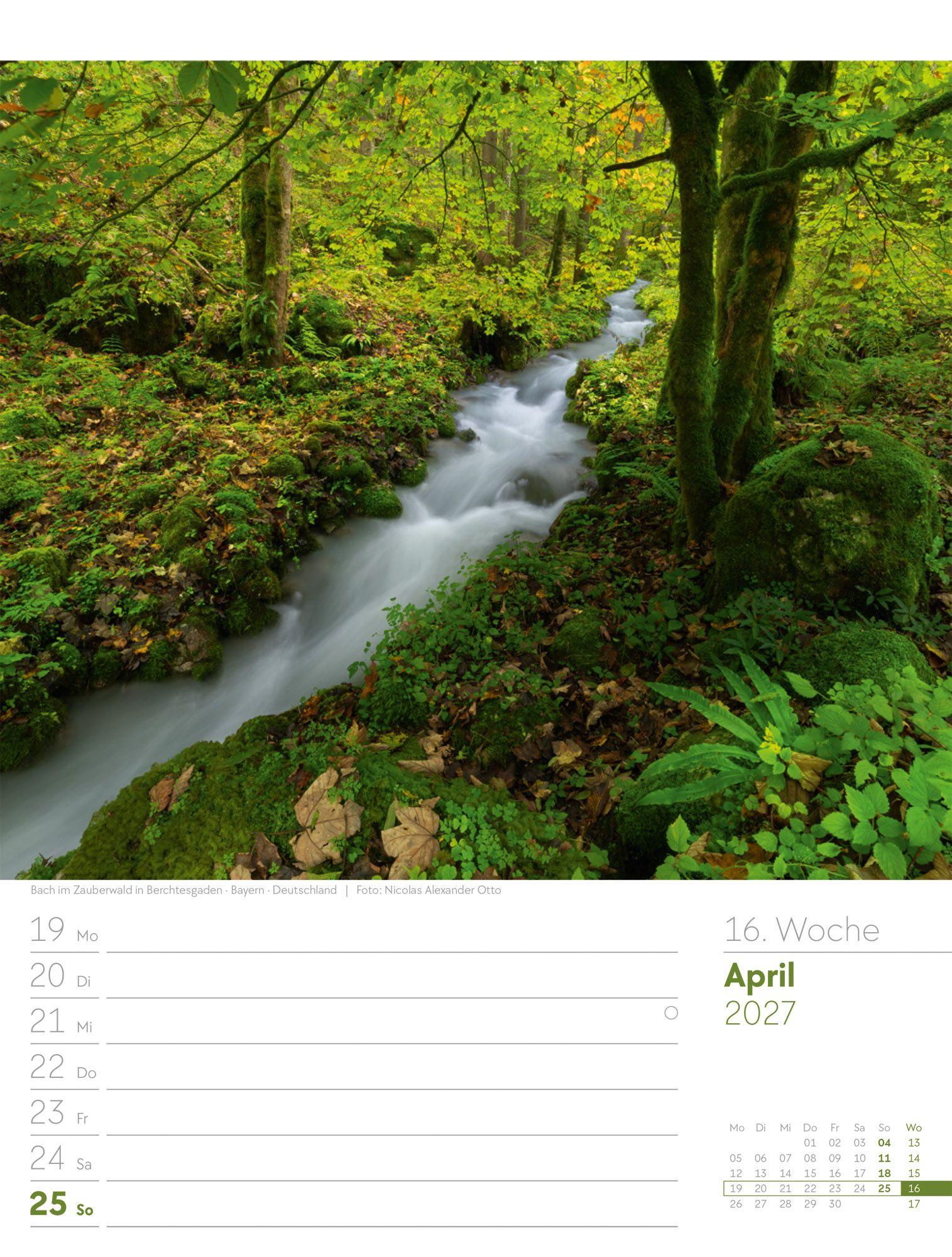 Beispielinhalt (Bild) Unser Wald Wochenplaner Kalender 2027