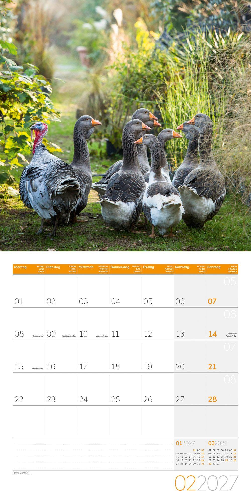 Beispielinhalt (Bild) Landleben Kalender 2027 - 30x30 - Art12