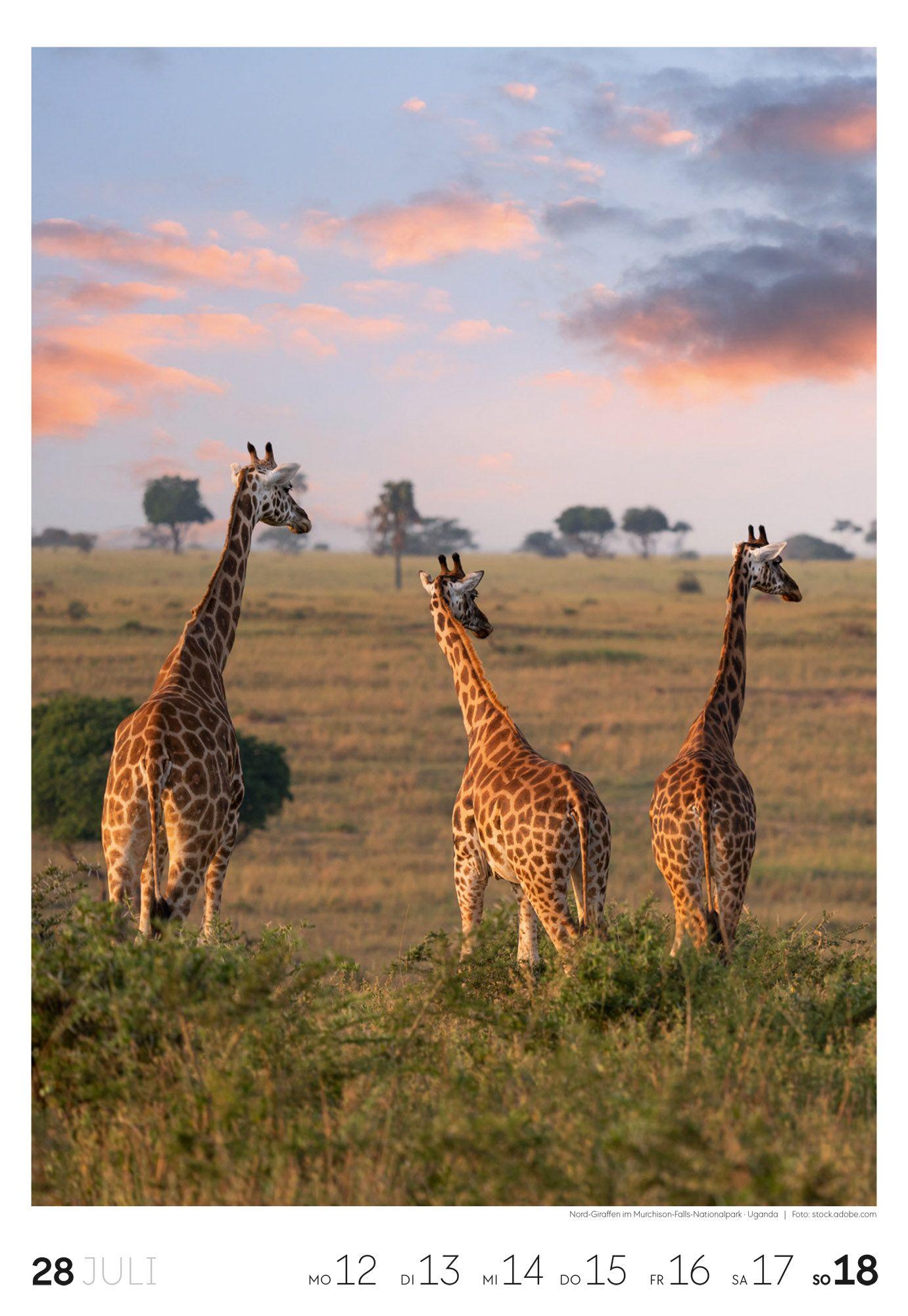 Beispielinhalt (Bild) Reisen Wochenkalender 2027