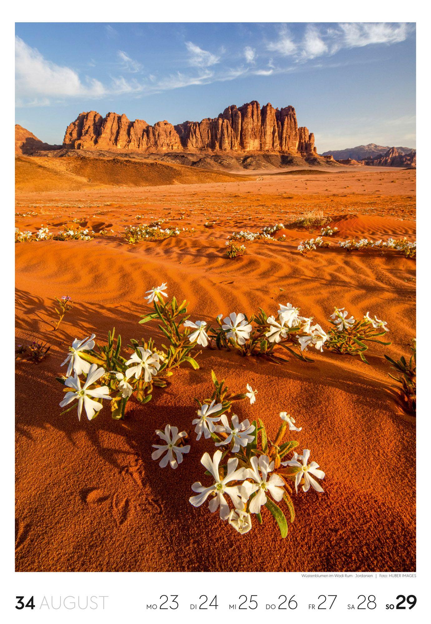 Beispielinhalt (Bild) Reisen Wochenkalender 2027