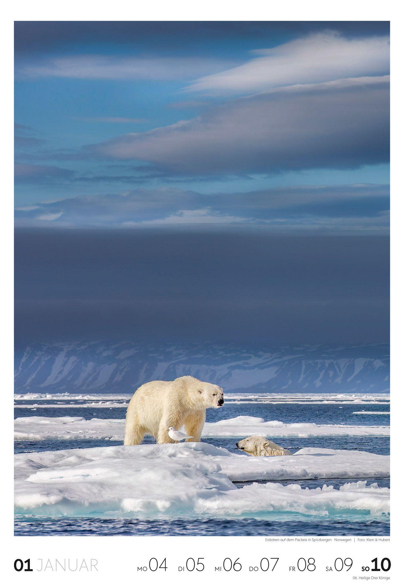 Beispielinhalt (Bild) Reisen Wochenkalender 2027