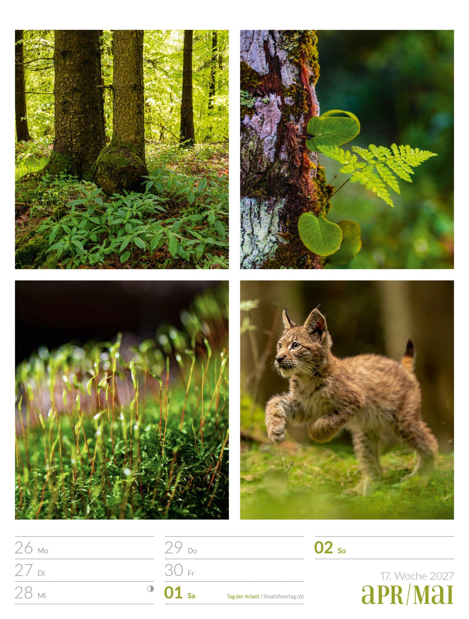 Beispielinhalt (Bild) Farben der Natur Wochenplaner Kalender 2027