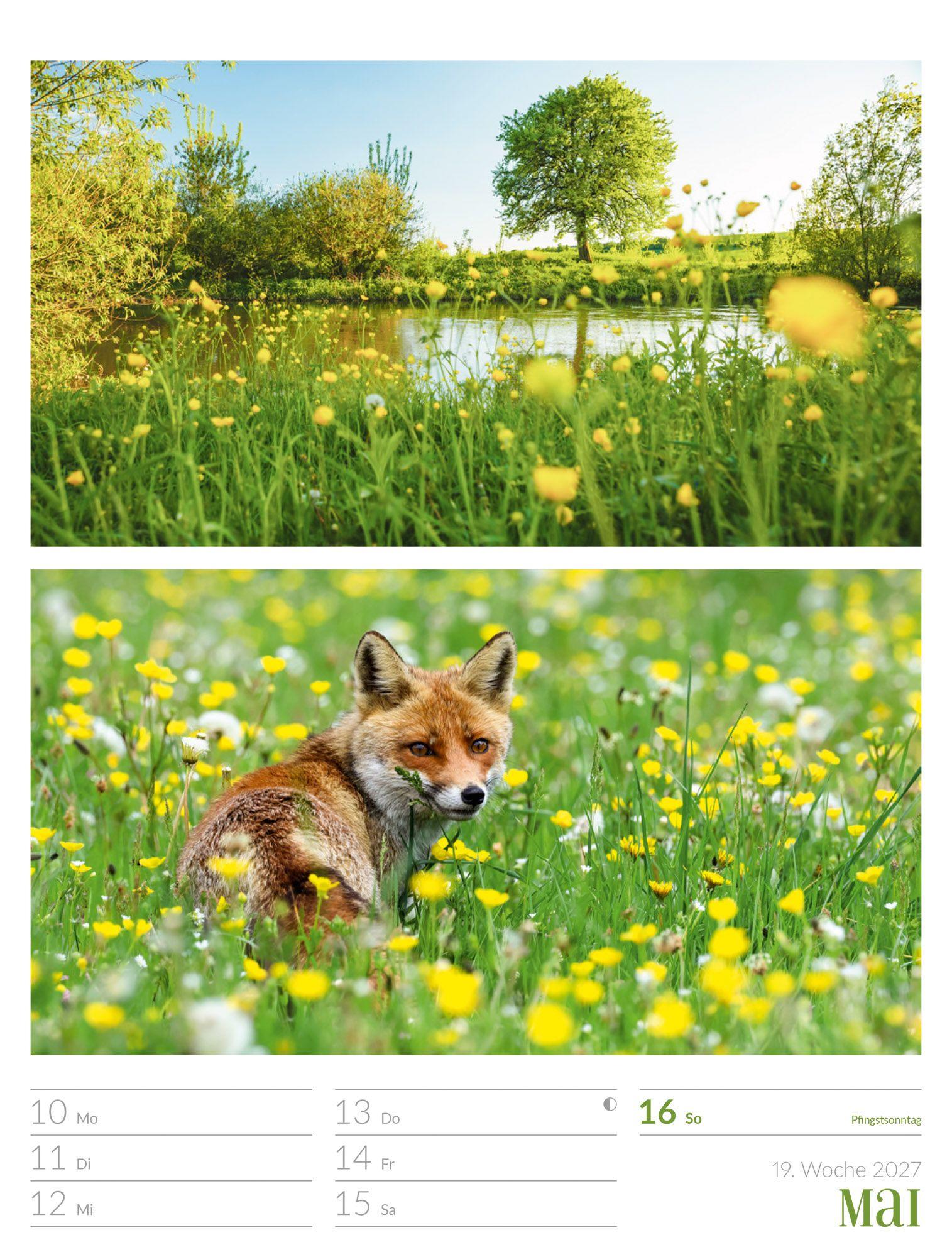 Beispielinhalt (Bild) Farben der Natur Wochenplaner Kalender 2027