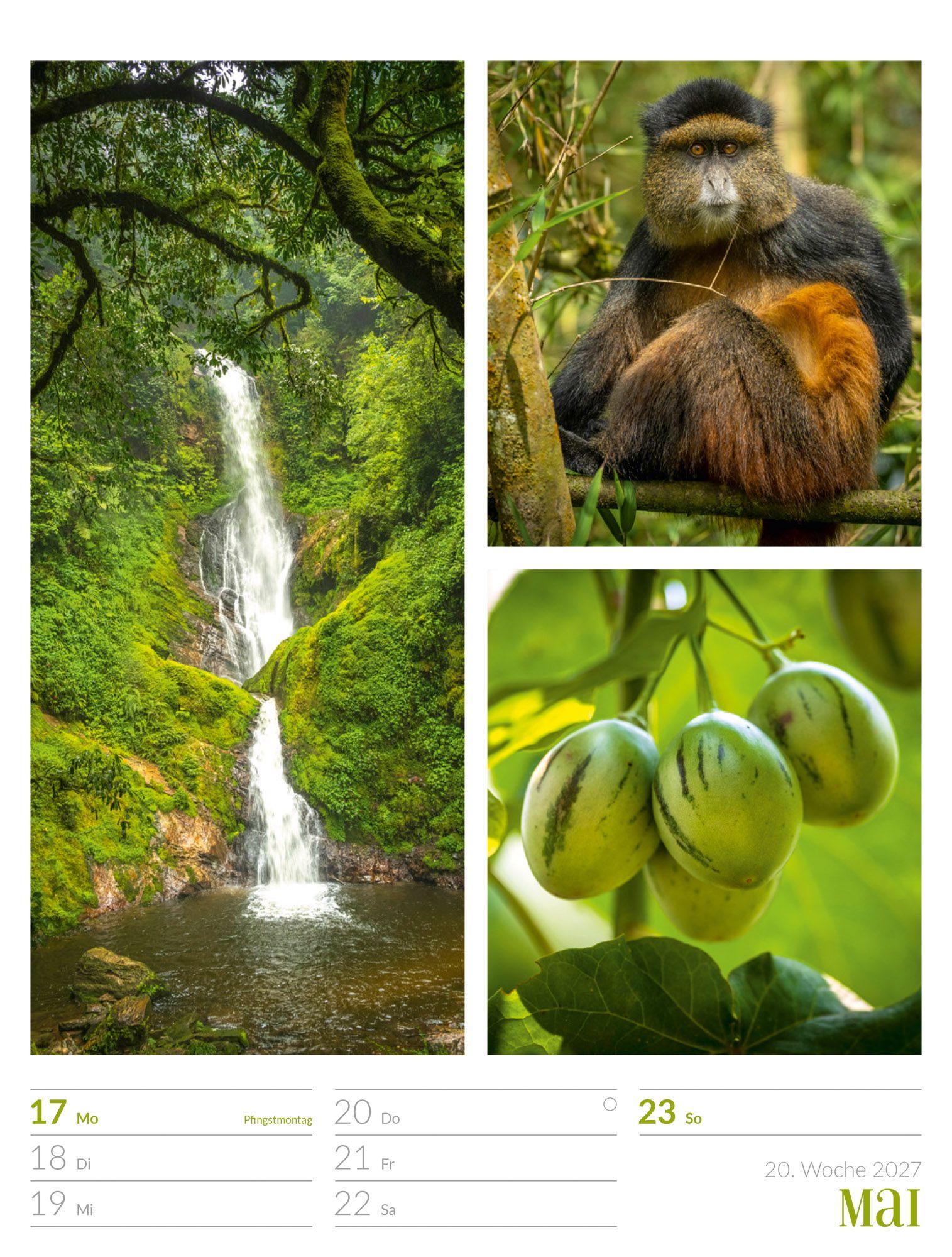 Beispielinhalt (Bild) Farben der Natur Wochenplaner Kalender 2027