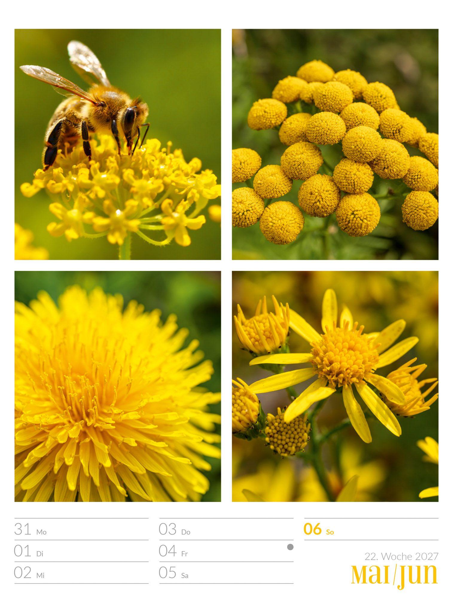 Beispielinhalt (Bild) Farben der Natur Wochenplaner Kalender 2027