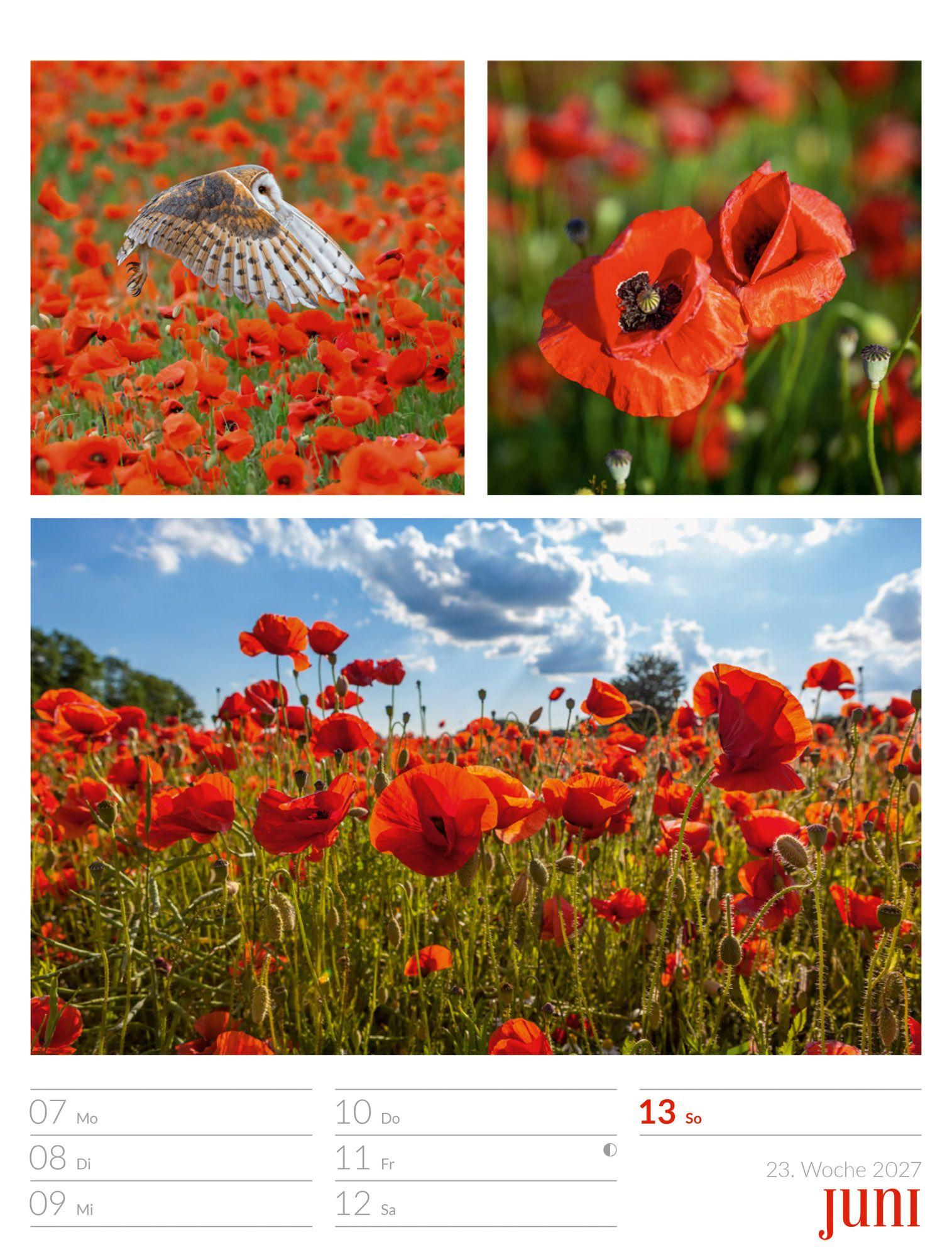 Beispielinhalt (Bild) Farben der Natur Wochenplaner Kalender 2027