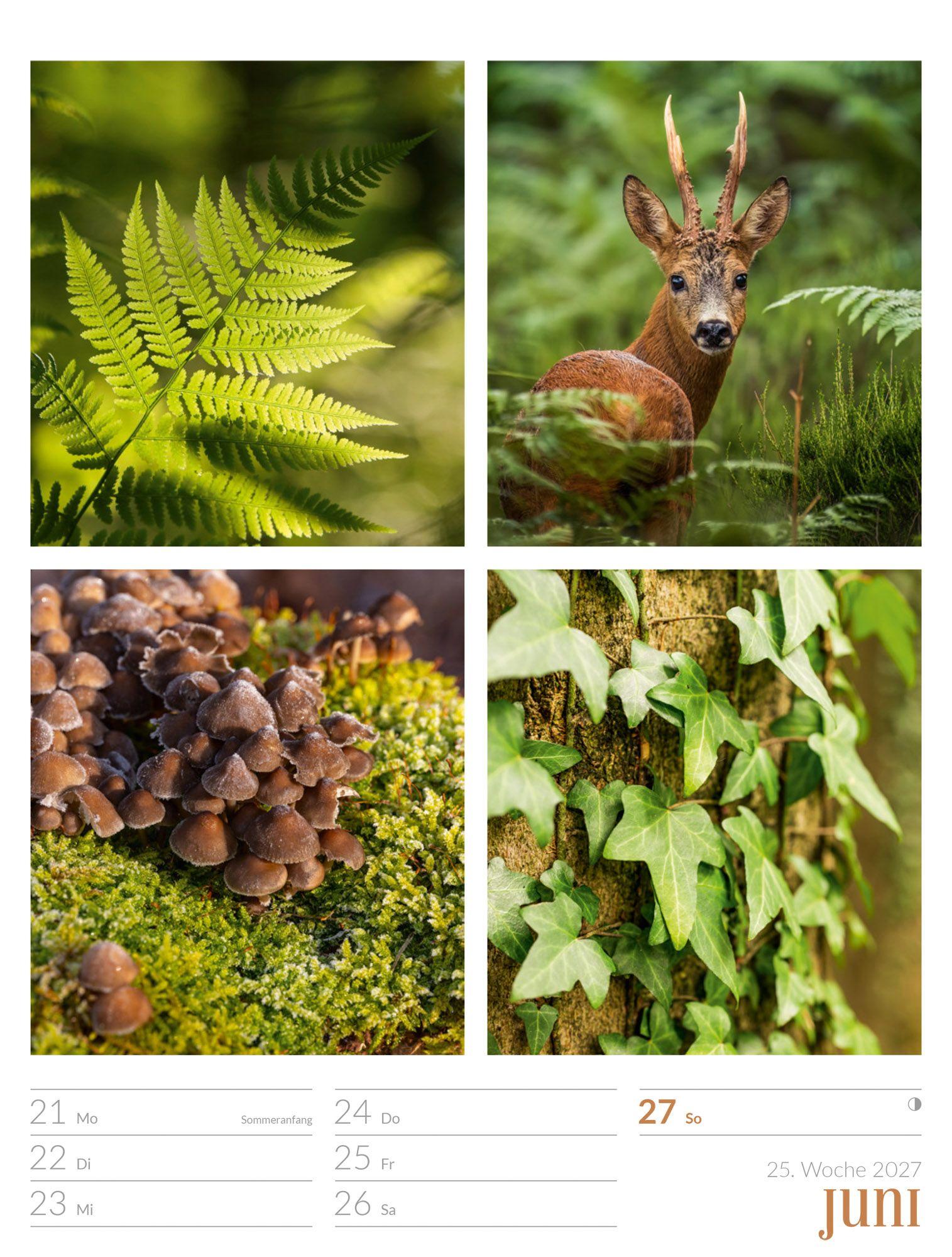 Beispielinhalt (Bild) Farben der Natur Wochenplaner Kalender 2027
