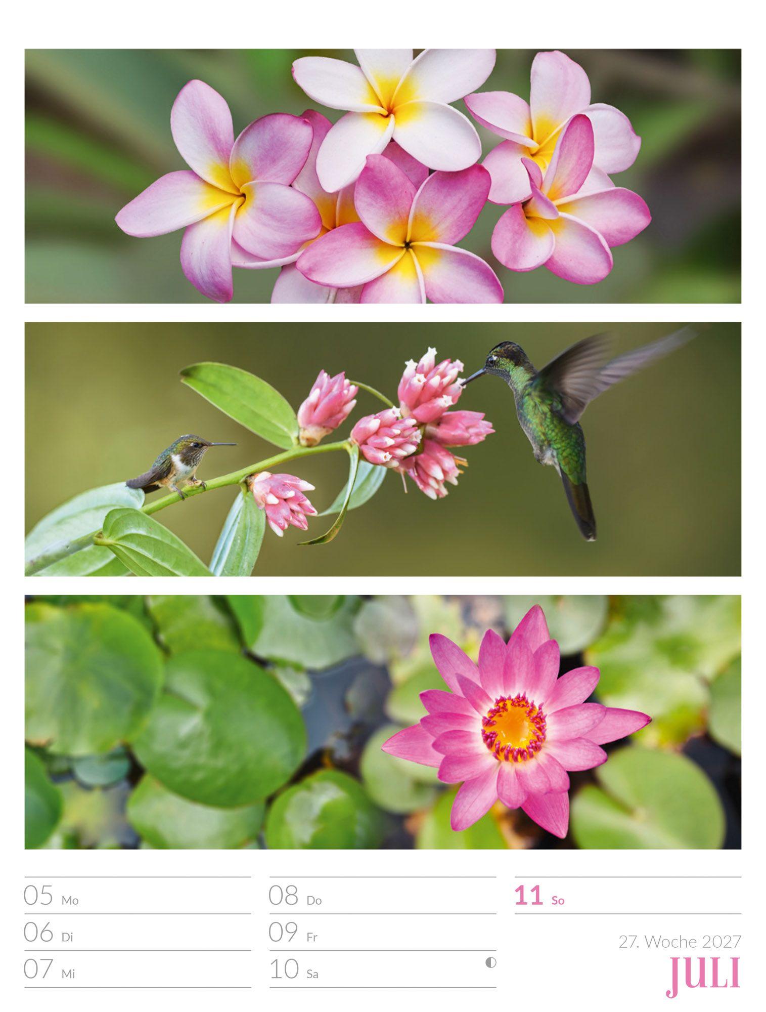Beispielinhalt (Bild) Farben der Natur Wochenplaner Kalender 2027