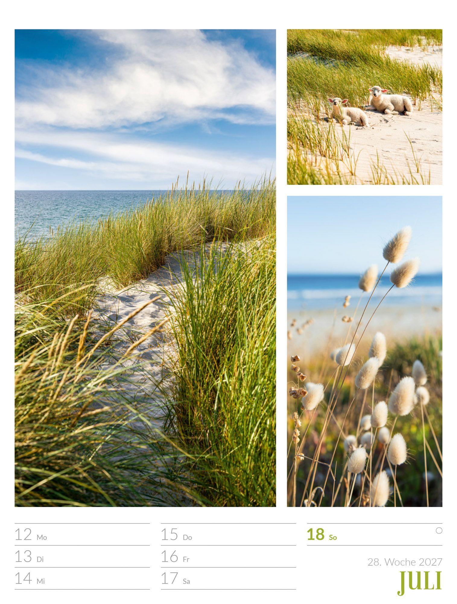 Beispielinhalt (Bild) Farben der Natur Wochenplaner Kalender 2027