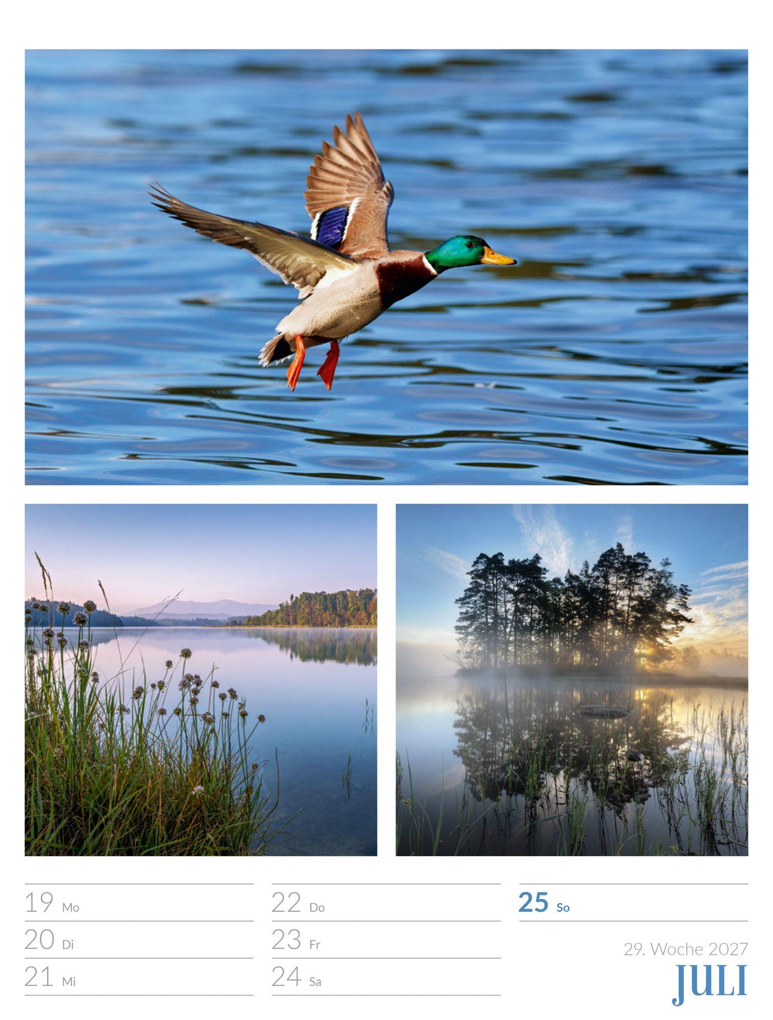 Beispielinhalt (Bild) Farben der Natur Wochenplaner Kalender 2027