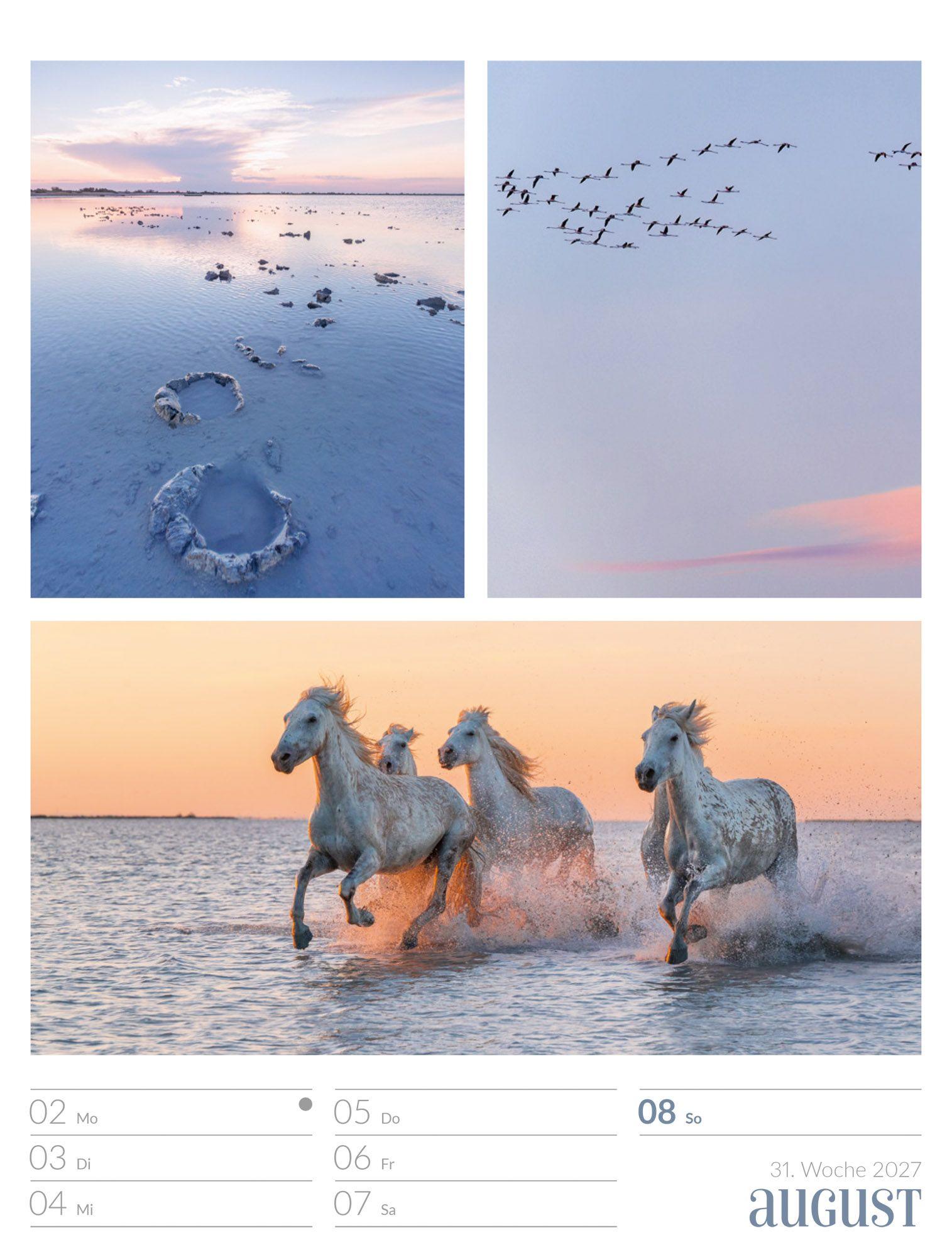 Beispielinhalt (Bild) Farben der Natur Wochenplaner Kalender 2027