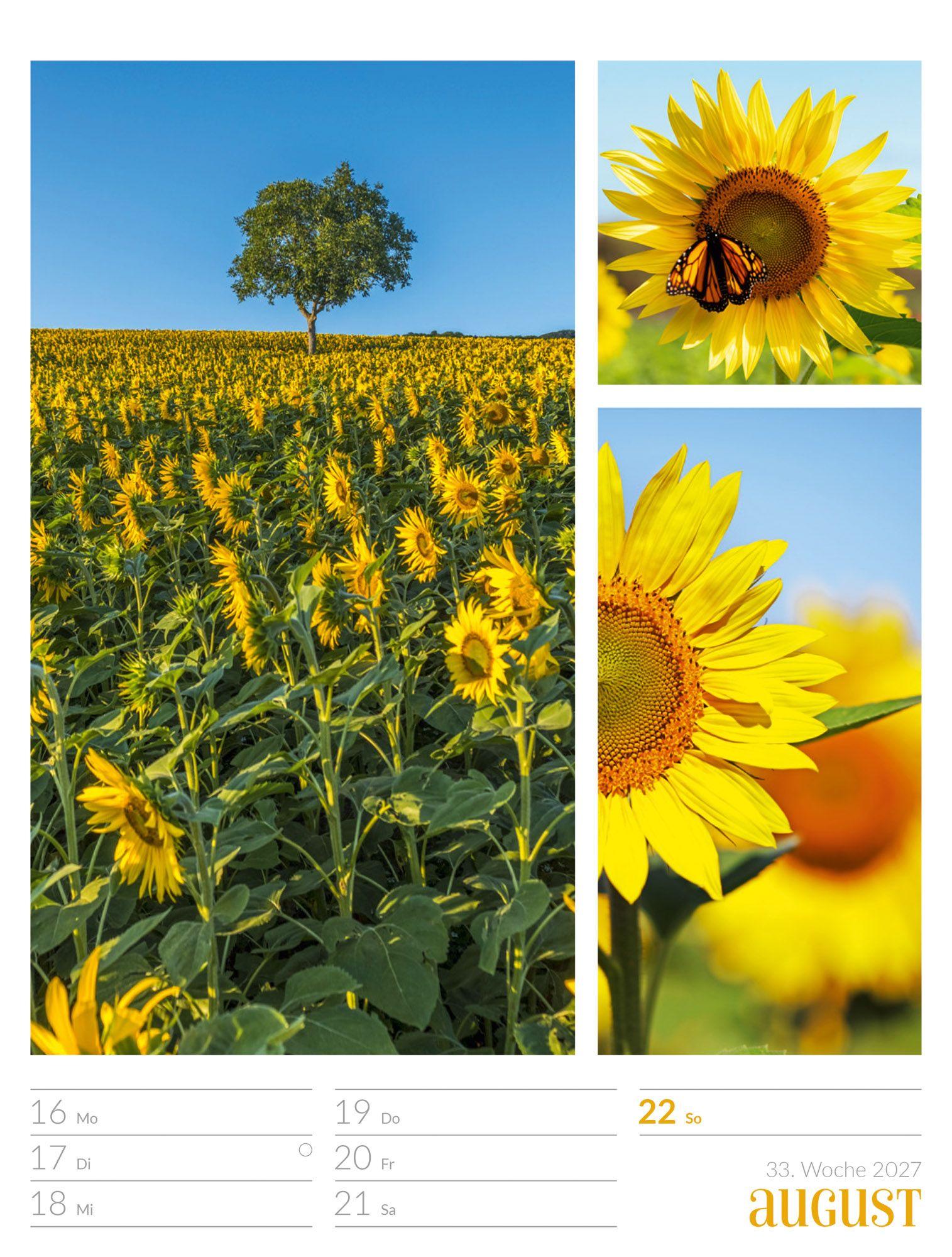 Beispielinhalt (Bild) Farben der Natur Wochenplaner Kalender 2027