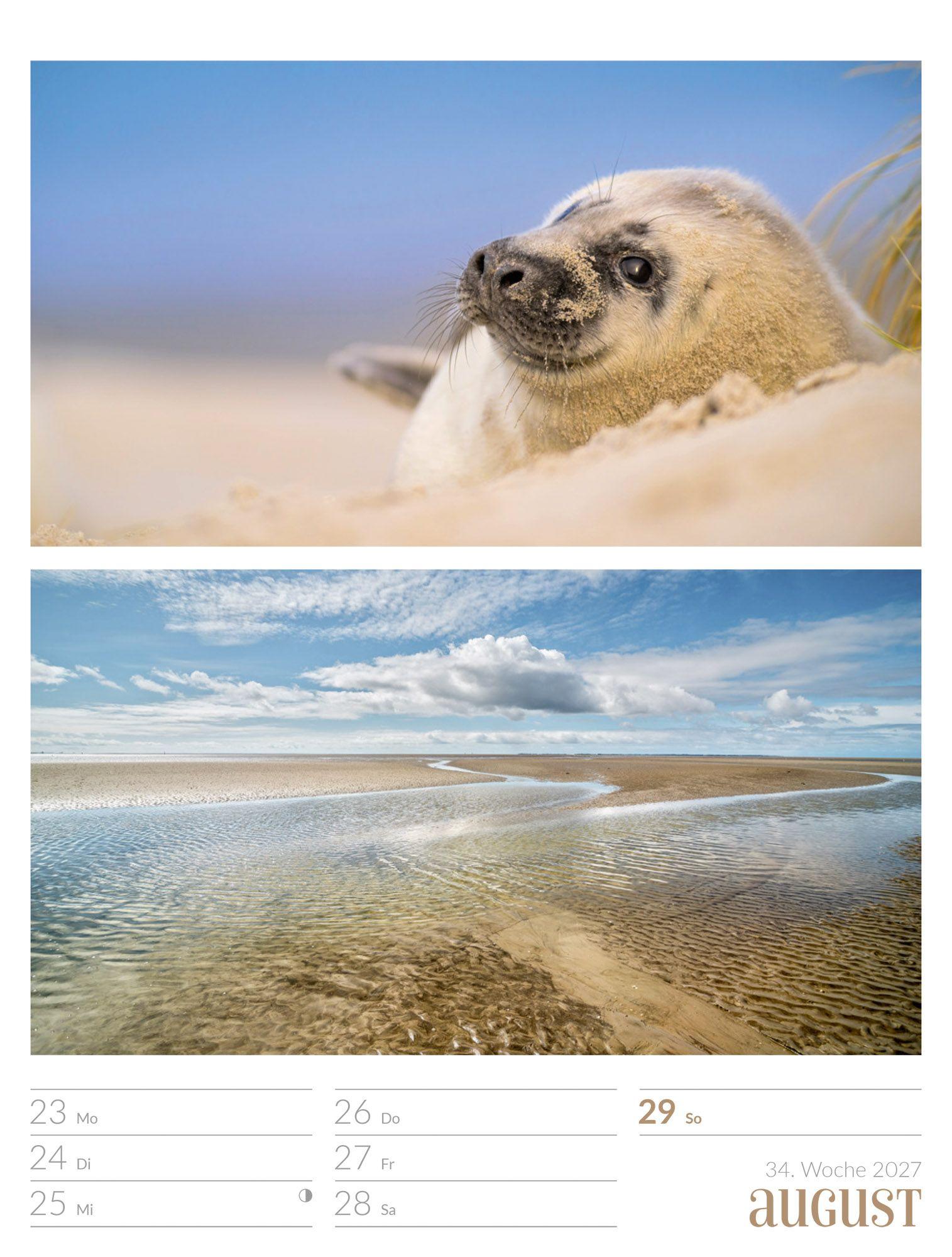 Beispielinhalt (Bild) Farben der Natur Wochenplaner Kalender 2027