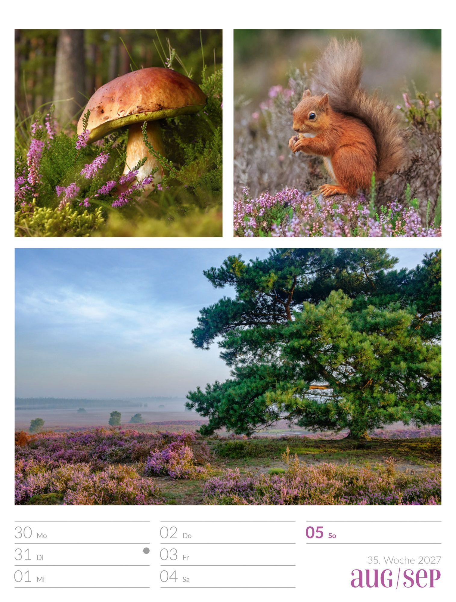 Beispielinhalt (Bild) Farben der Natur Wochenplaner Kalender 2027