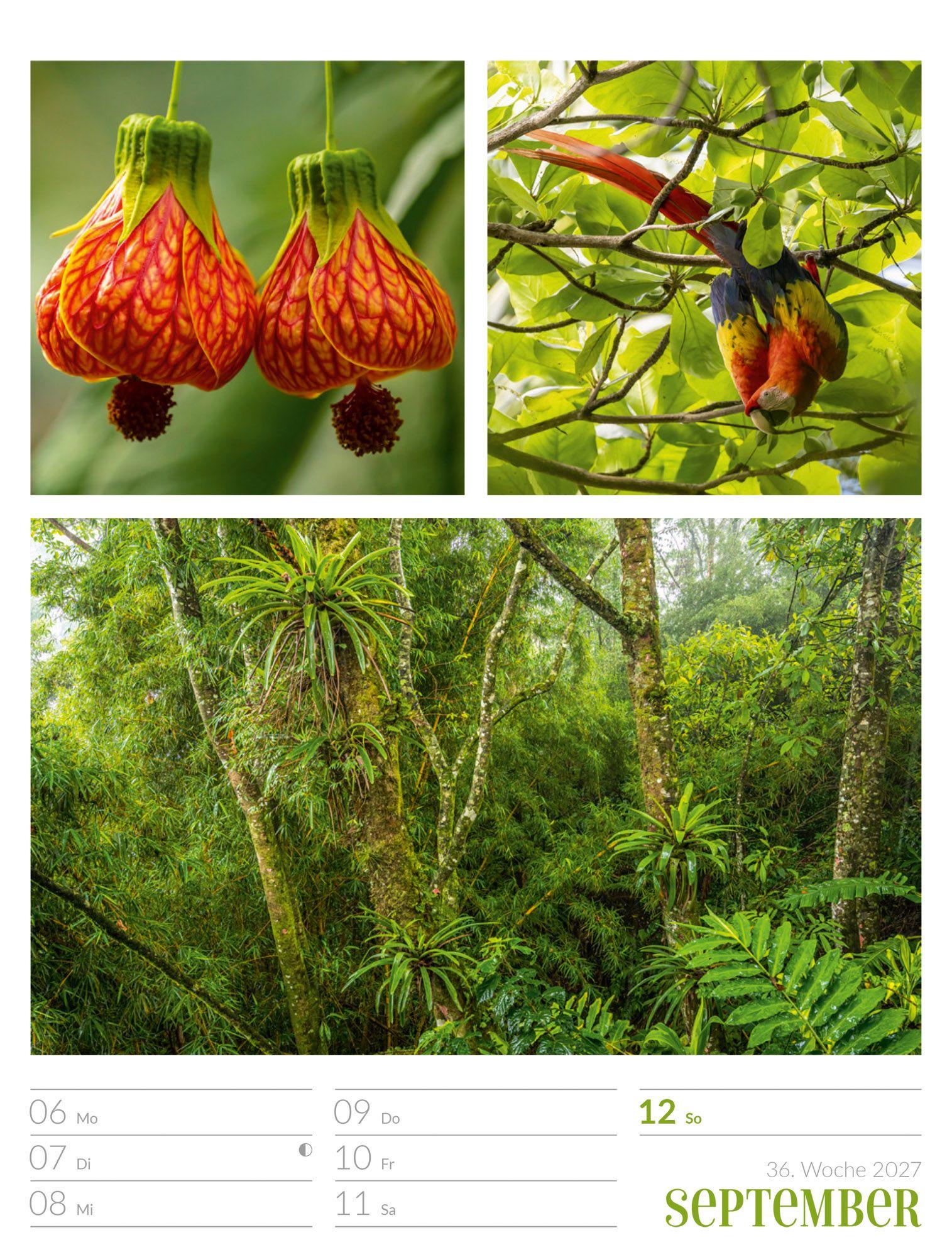 Beispielinhalt (Bild) Farben der Natur Wochenplaner Kalender 2027