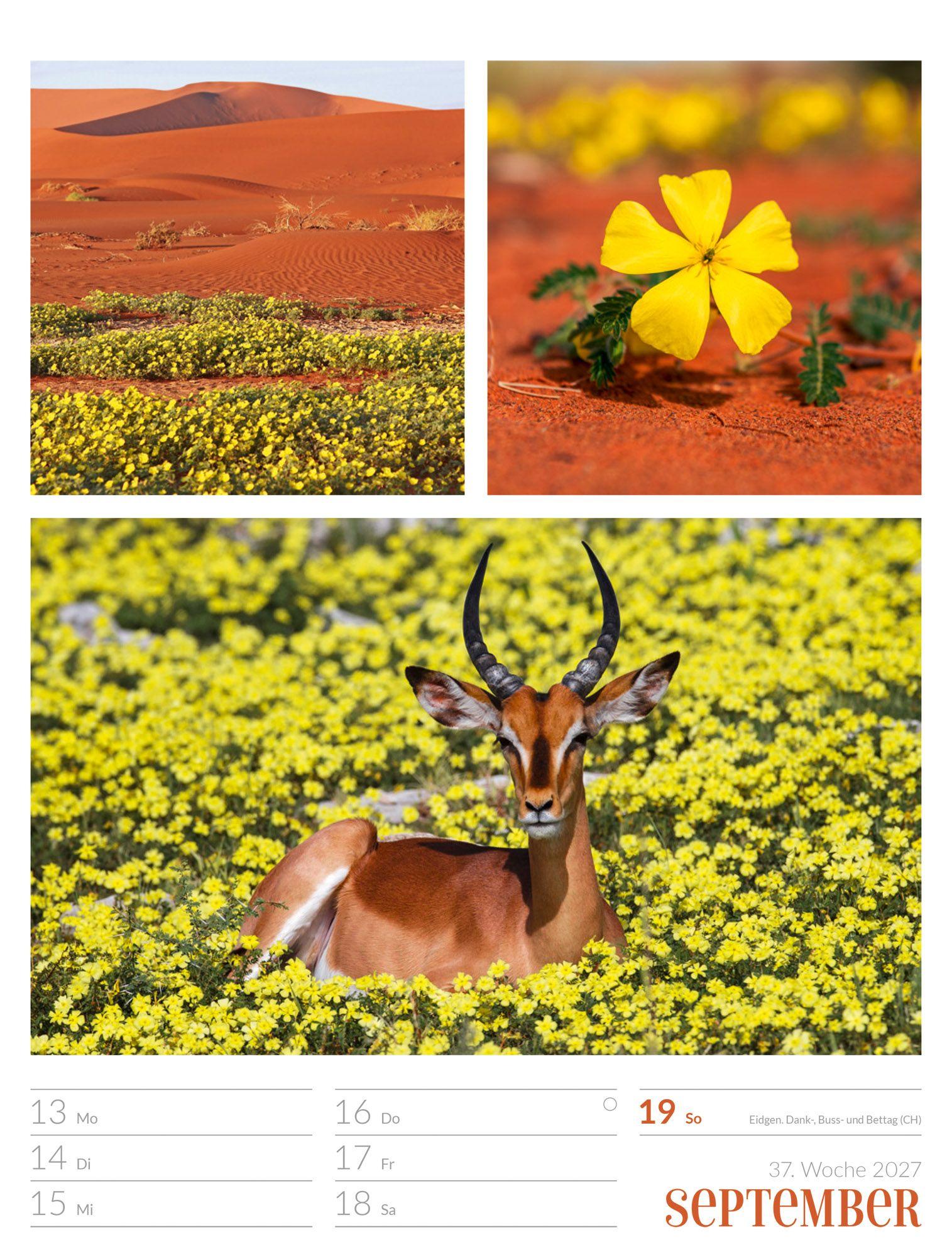 Beispielinhalt (Bild) Farben der Natur Wochenplaner Kalender 2027