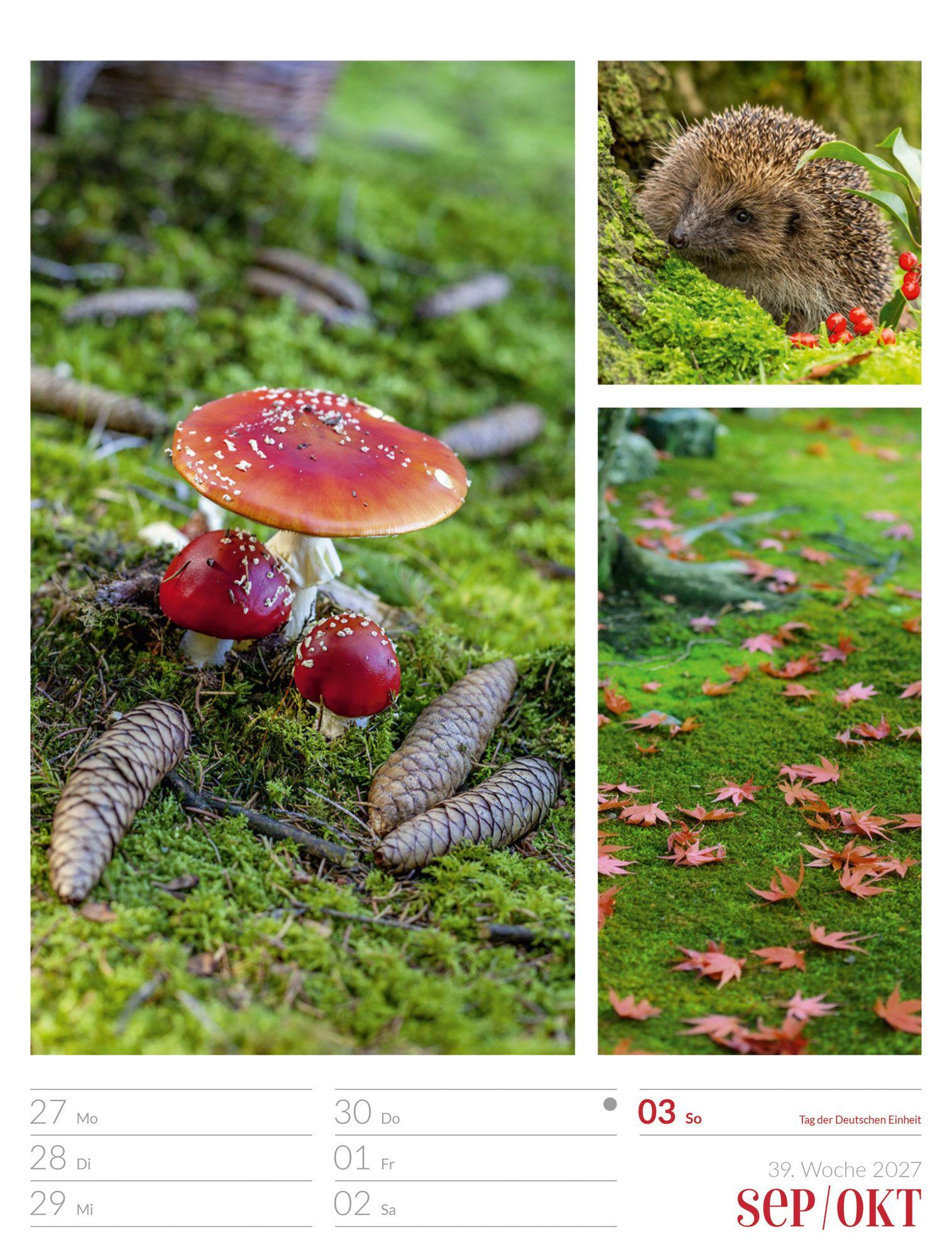 Beispielinhalt (Bild) Farben der Natur Wochenplaner Kalender 2027