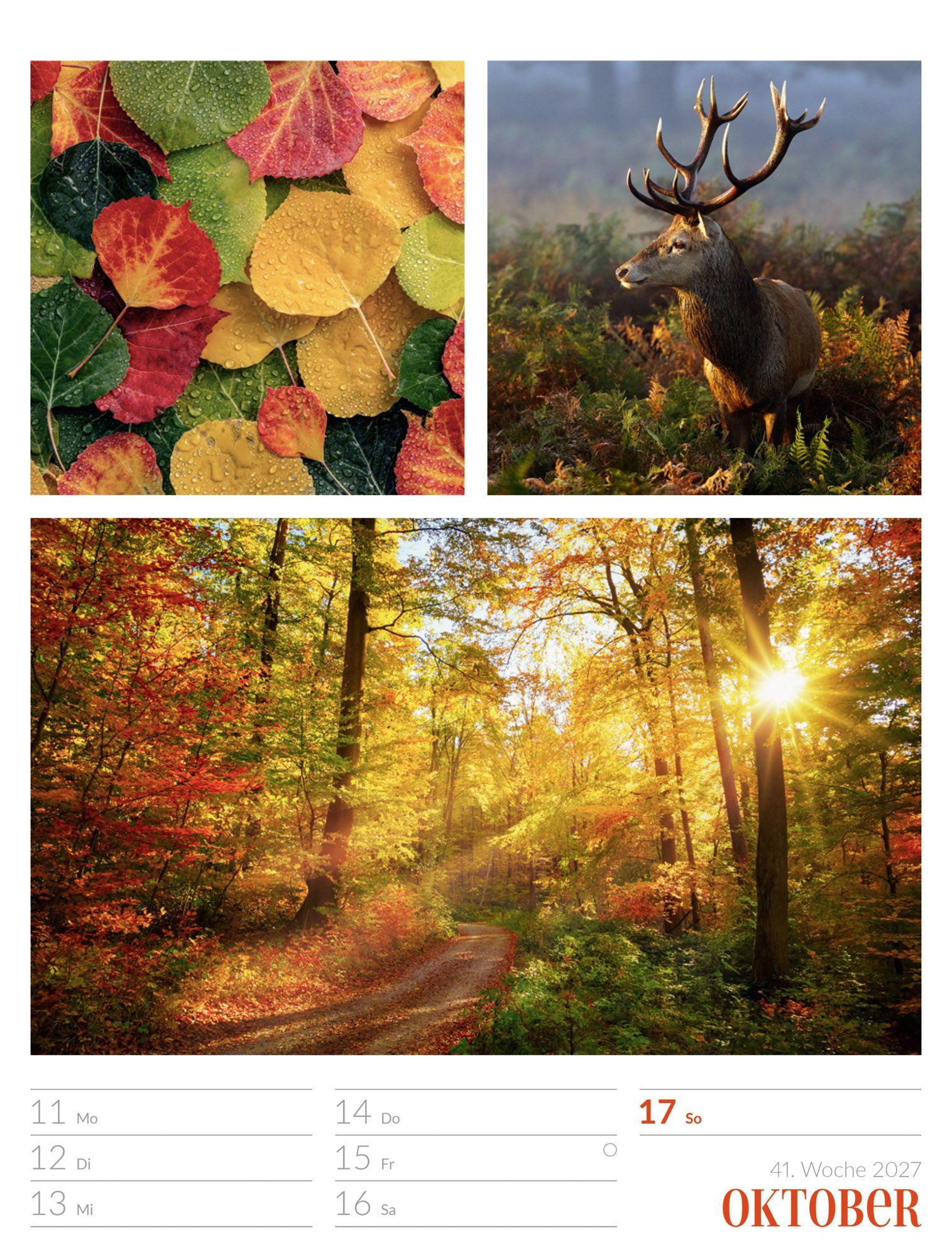 Beispielinhalt (Bild) Farben der Natur Wochenplaner Kalender 2027